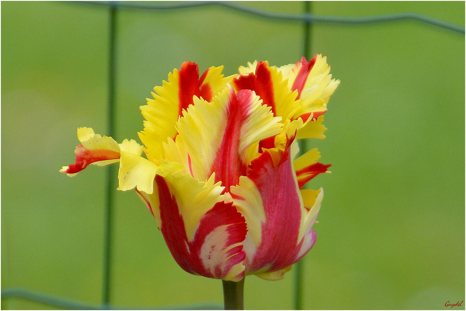 Nikon D5200 sample photo. Nouvelle ... photography