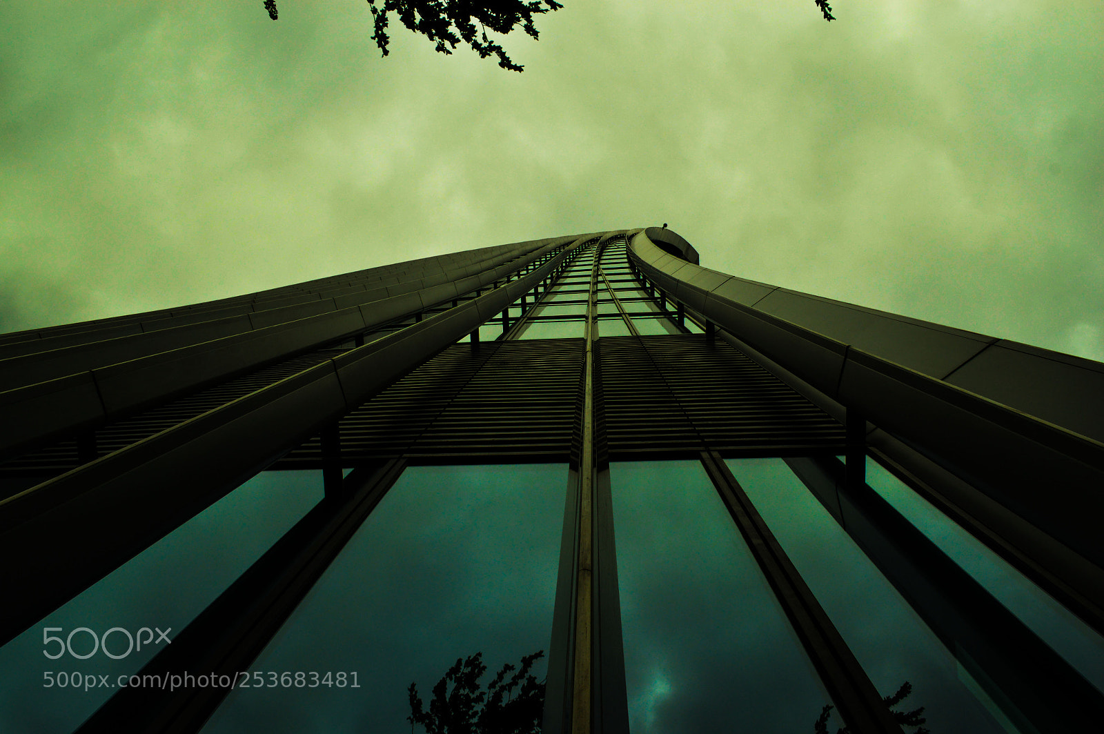 Nikon D3200 sample photo. Sky garden photography