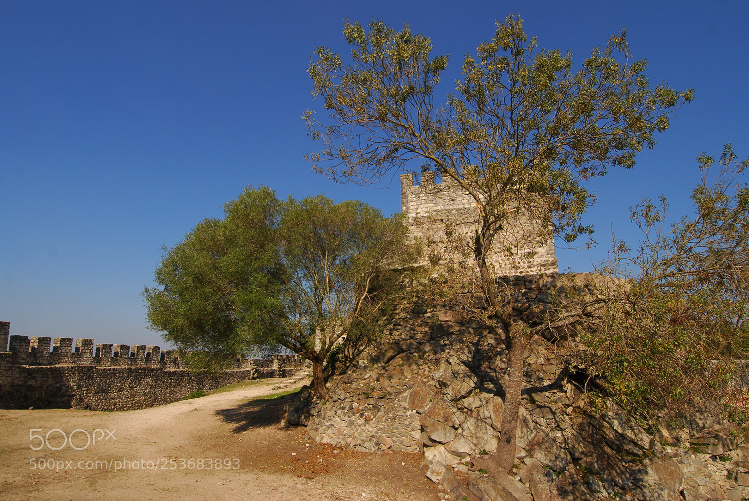 Nikon D80 sample photo. Castle of leiria photography
