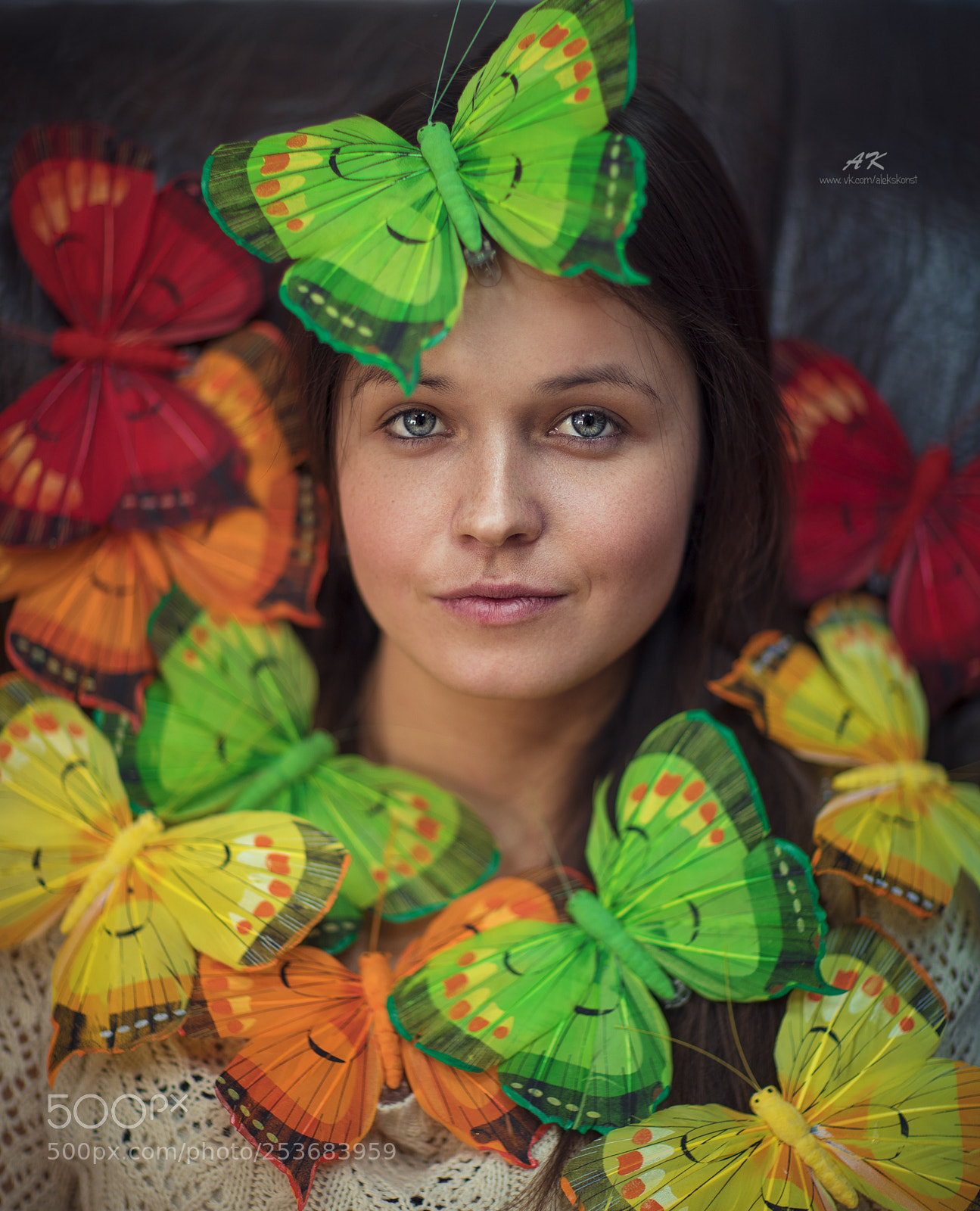 Canon EOS 5D Mark IV sample photo. Butterflies photography