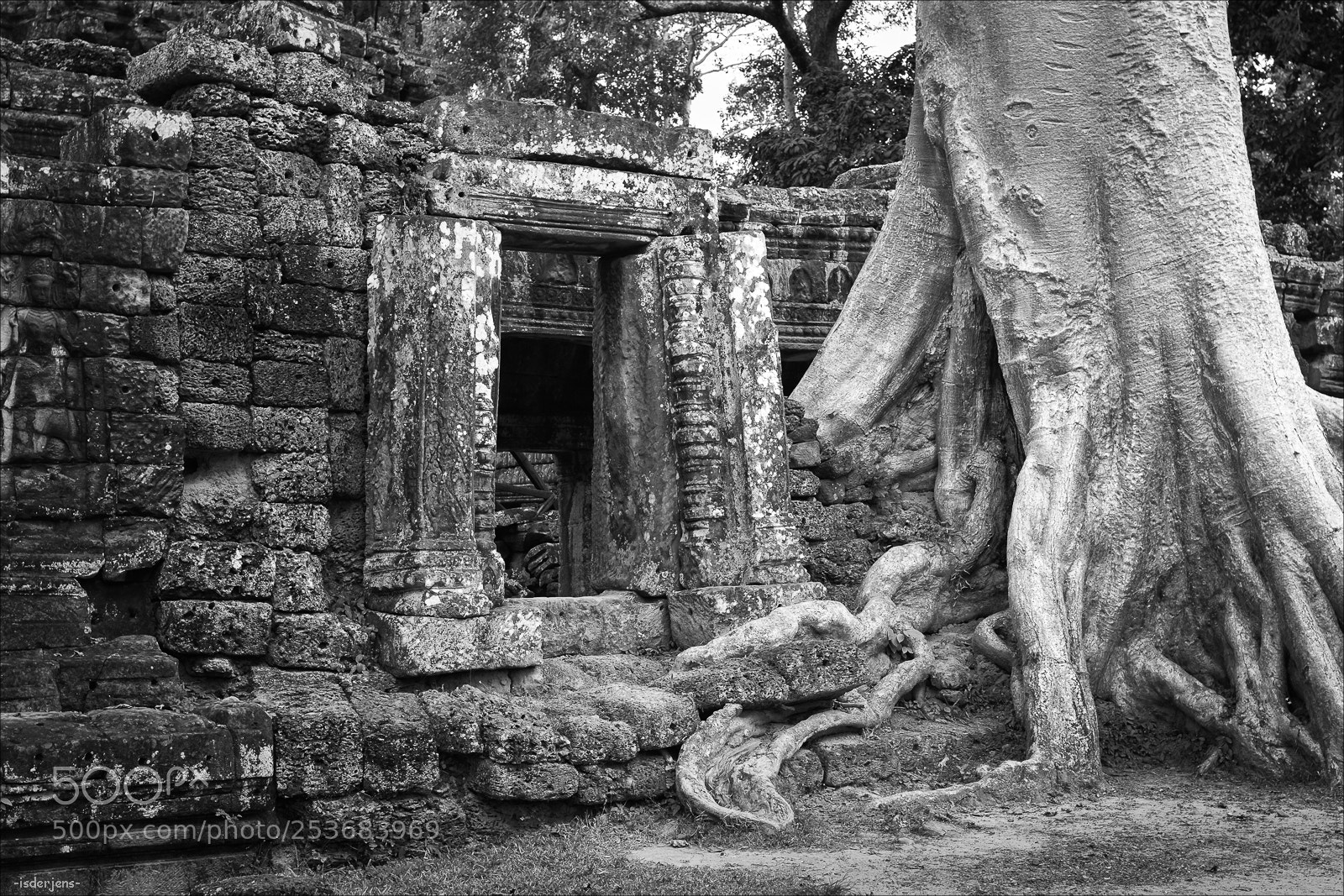 Canon EOS 70D sample photo. Lost world – the entry photography