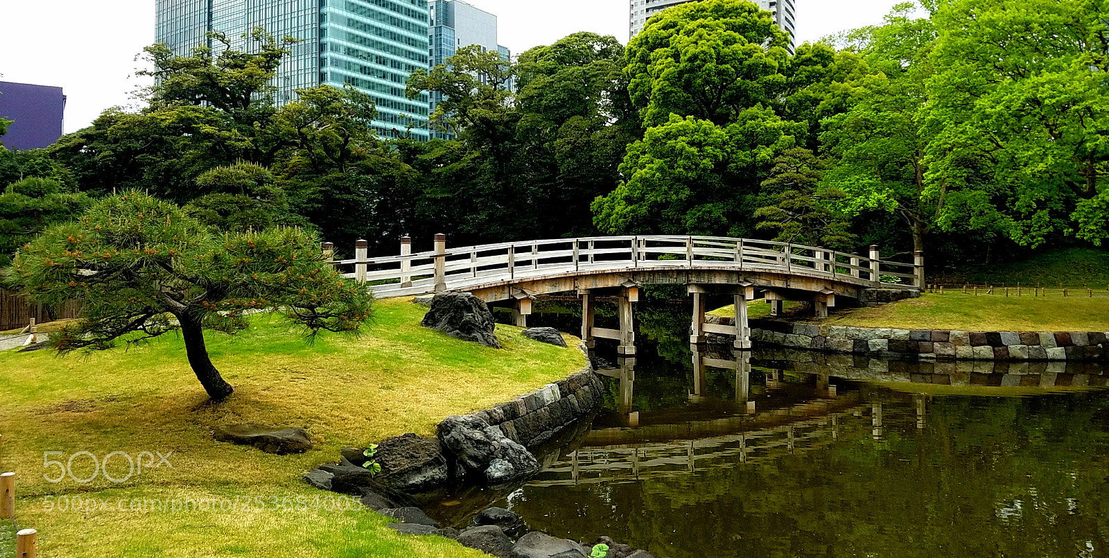 Samsung Galaxy S7 Edge sample photo. Japan's garden photography