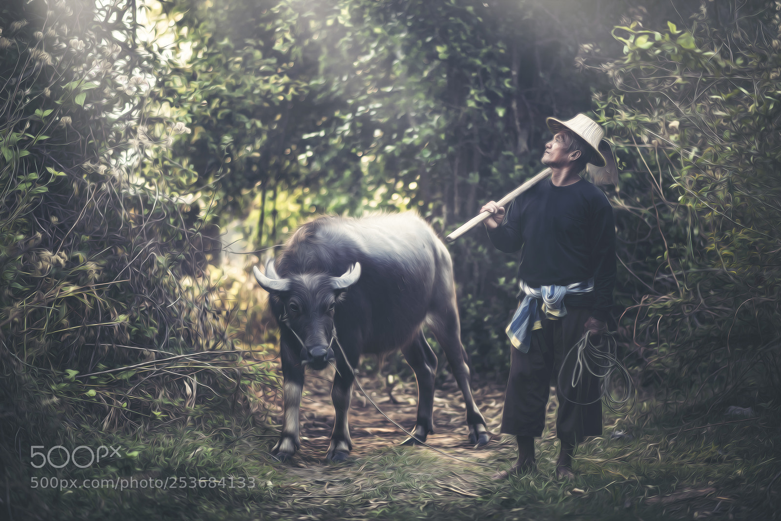 Nikon D810 sample photo. Farmer with buffalo photography