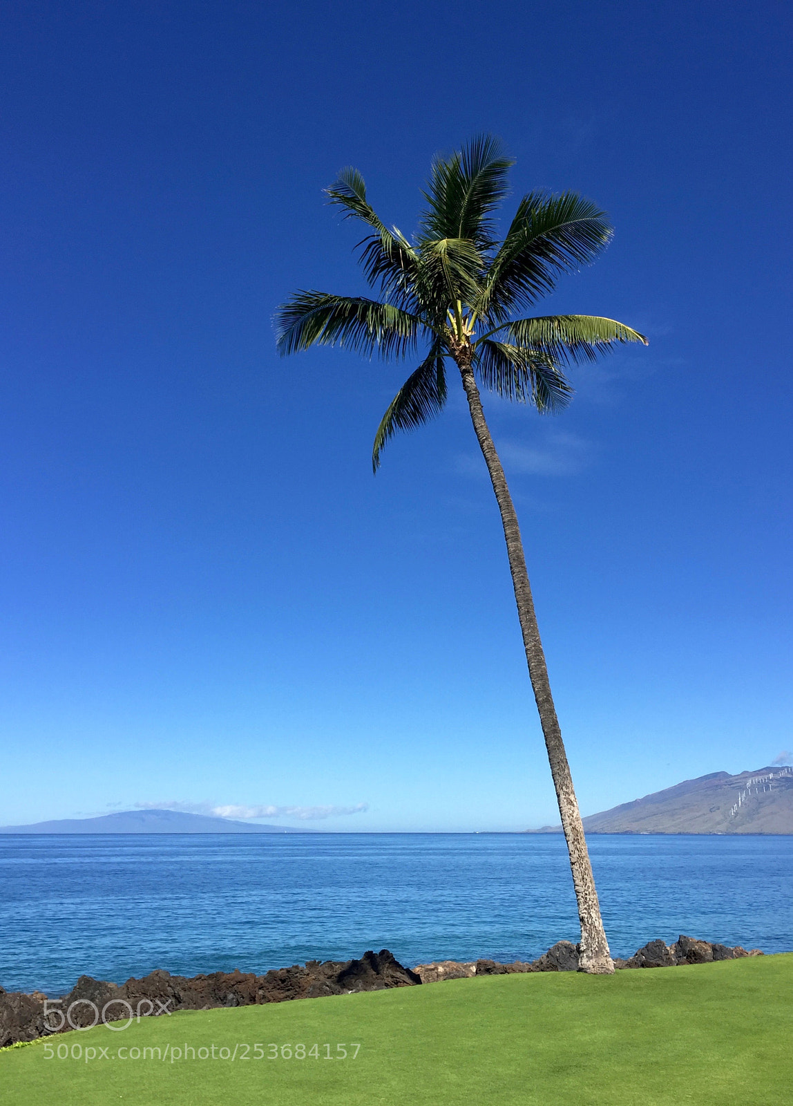 Apple iPhone 6 sample photo. Maui = paradise photography