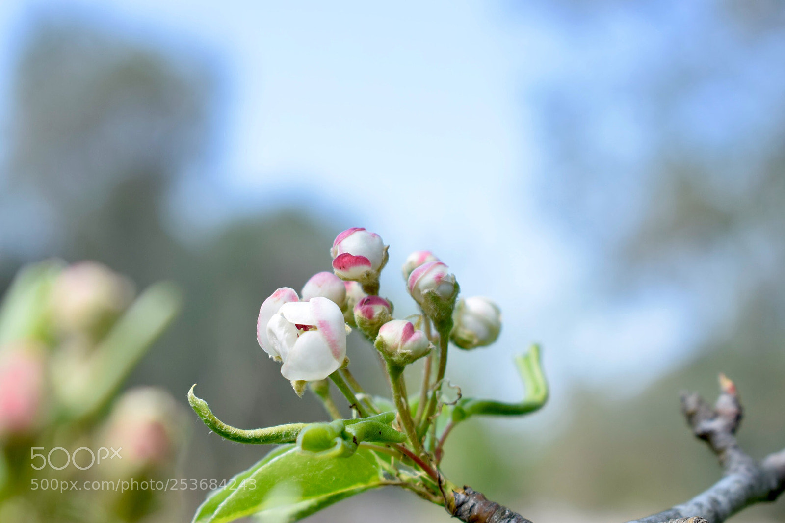 Nikon D3300 sample photo. Untitled photography