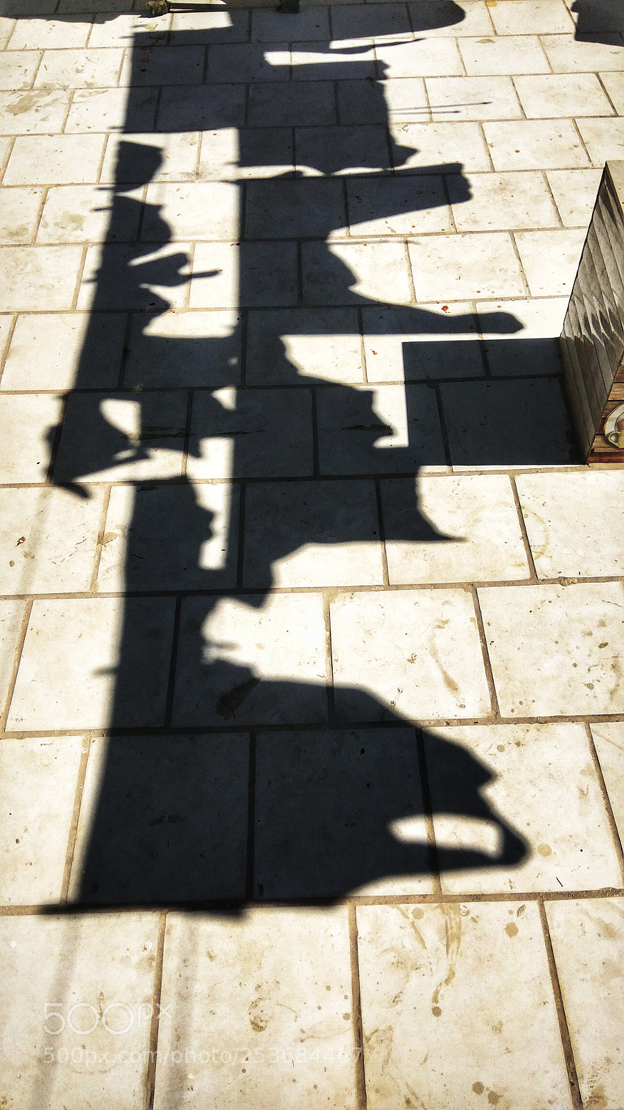 Xiaomi Redmi Note3 sample photo. Bright shadow photography