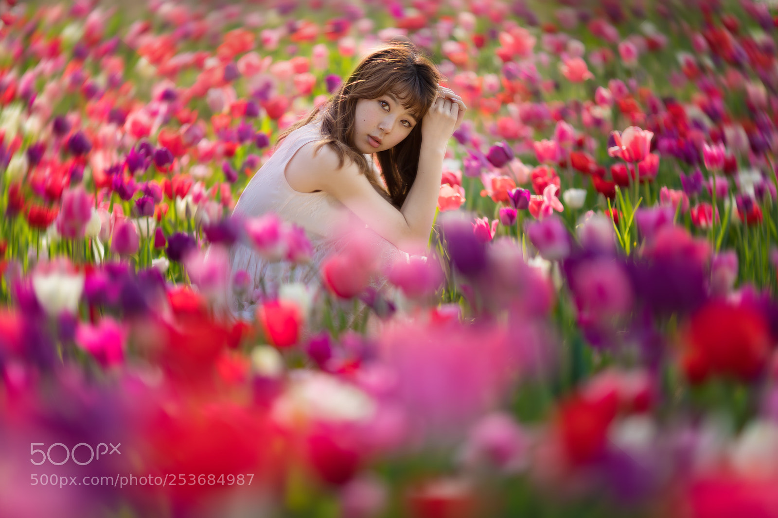 Canon EOS 5D Mark IV sample photo. Untitled photography