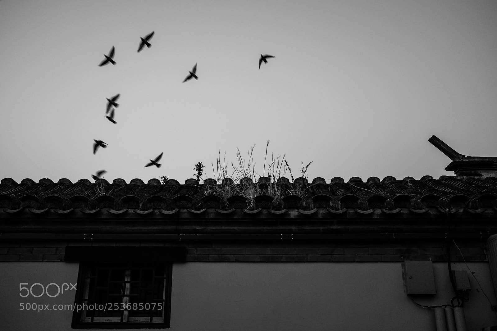 Fujifilm X-E3 sample photo. Flight photography