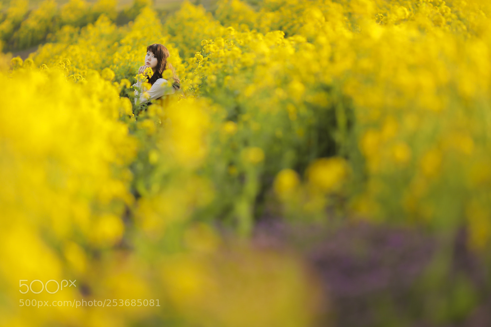 Canon EOS 5D Mark IV sample photo. Untitled photography