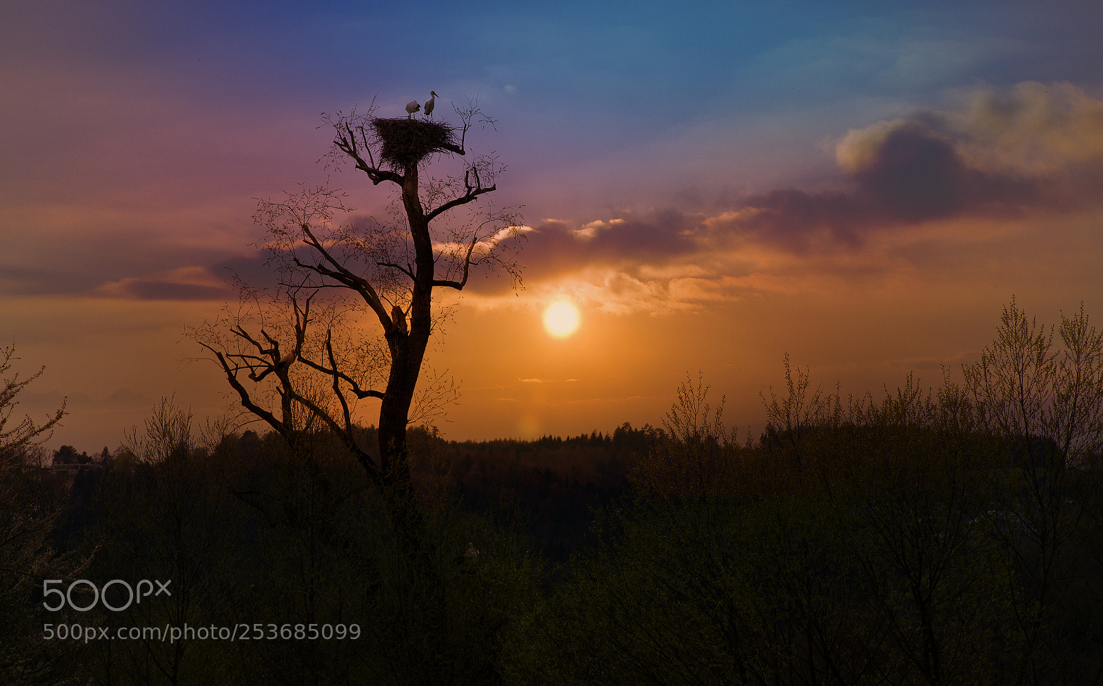 Pentax K-5 sample photo. Storchennest photography