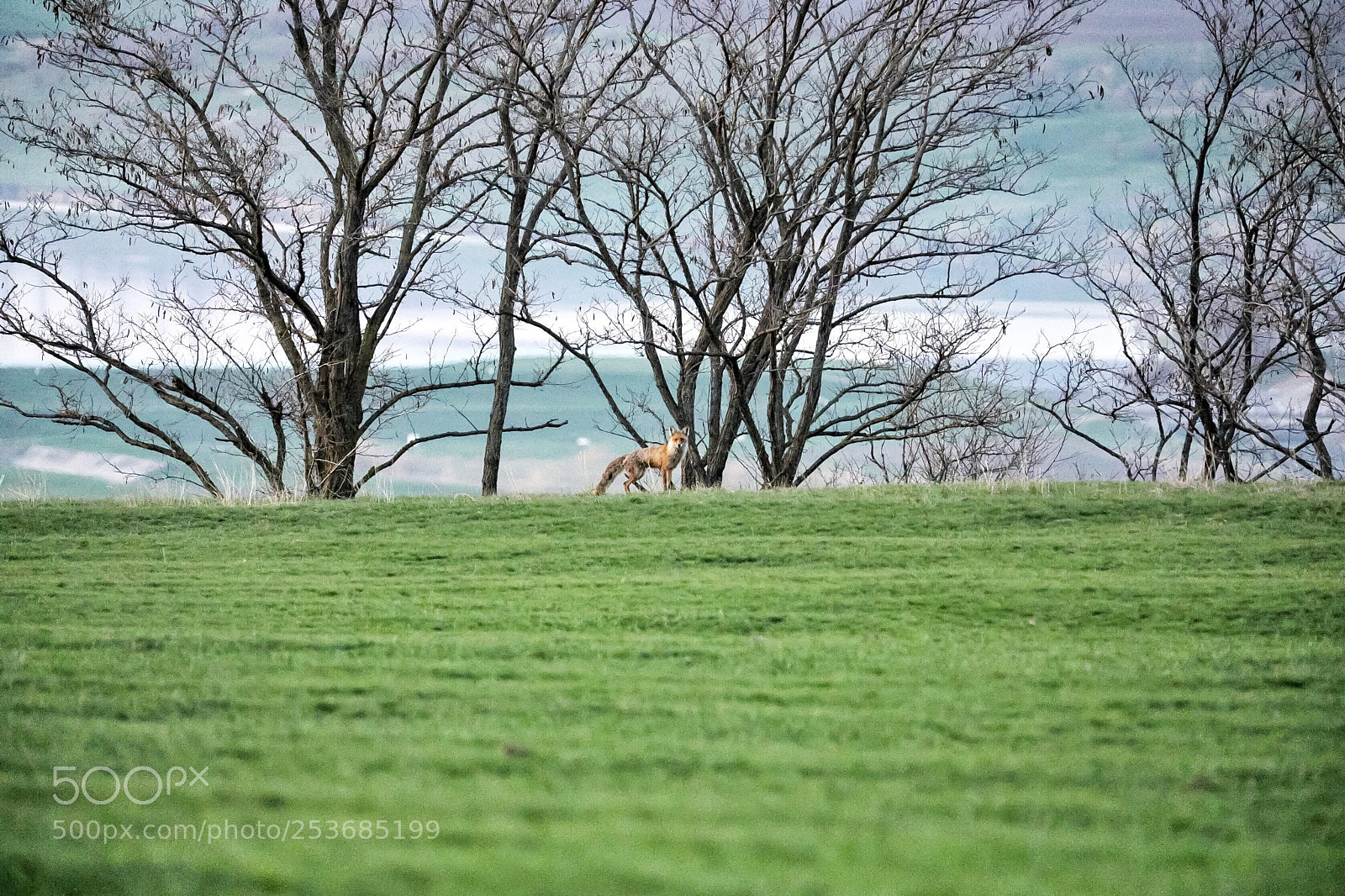 Canon EOS 5D Mark IV sample photo. Untitled photography