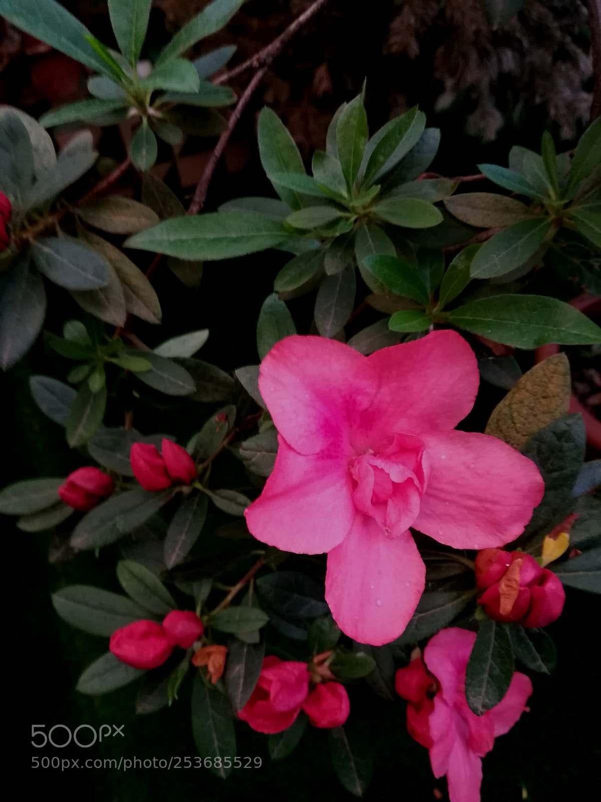 HUAWEI PRA-LX1 sample photo. Untitled photography