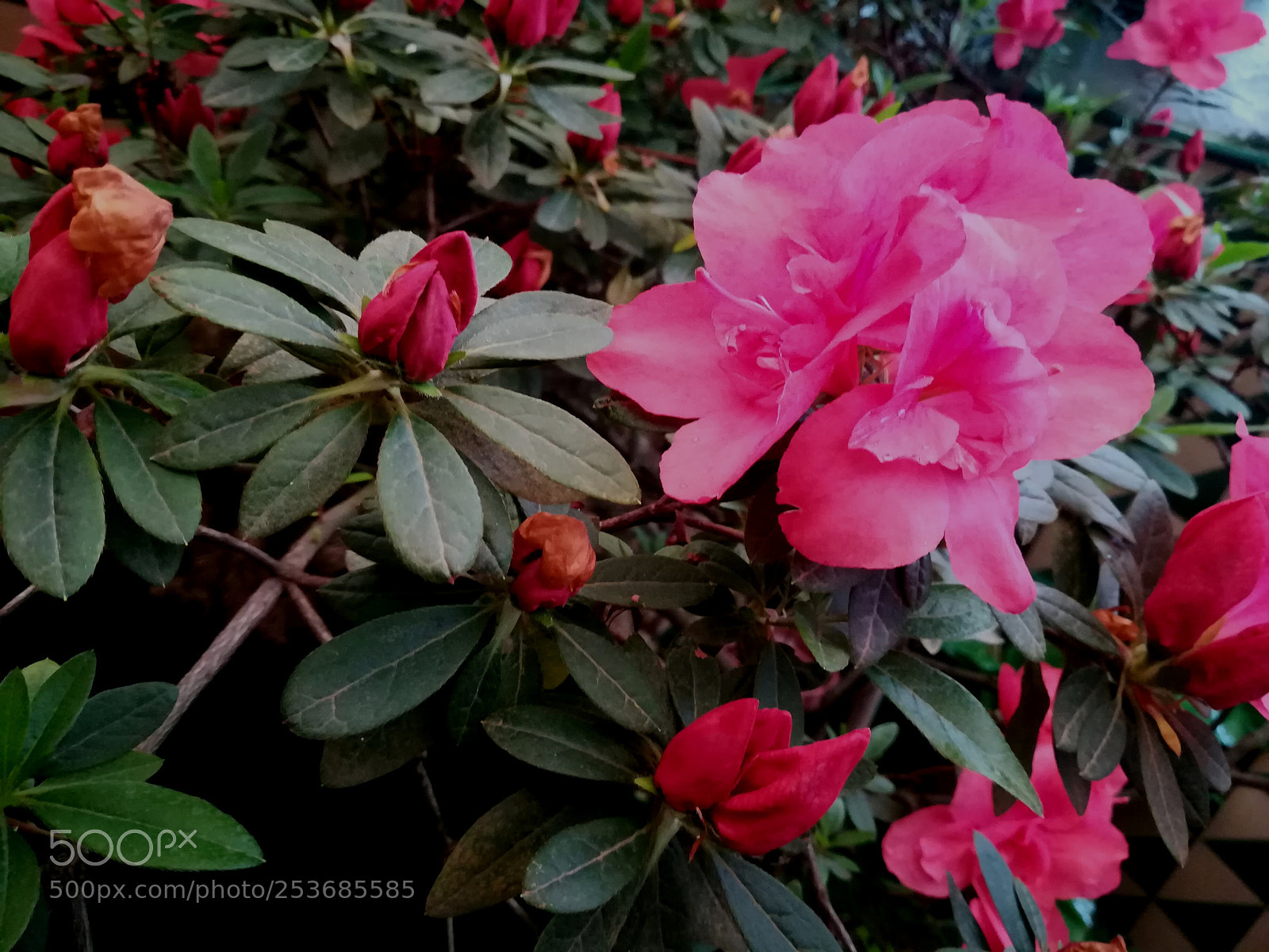 HUAWEI PRA-LX1 sample photo. Untitled photography