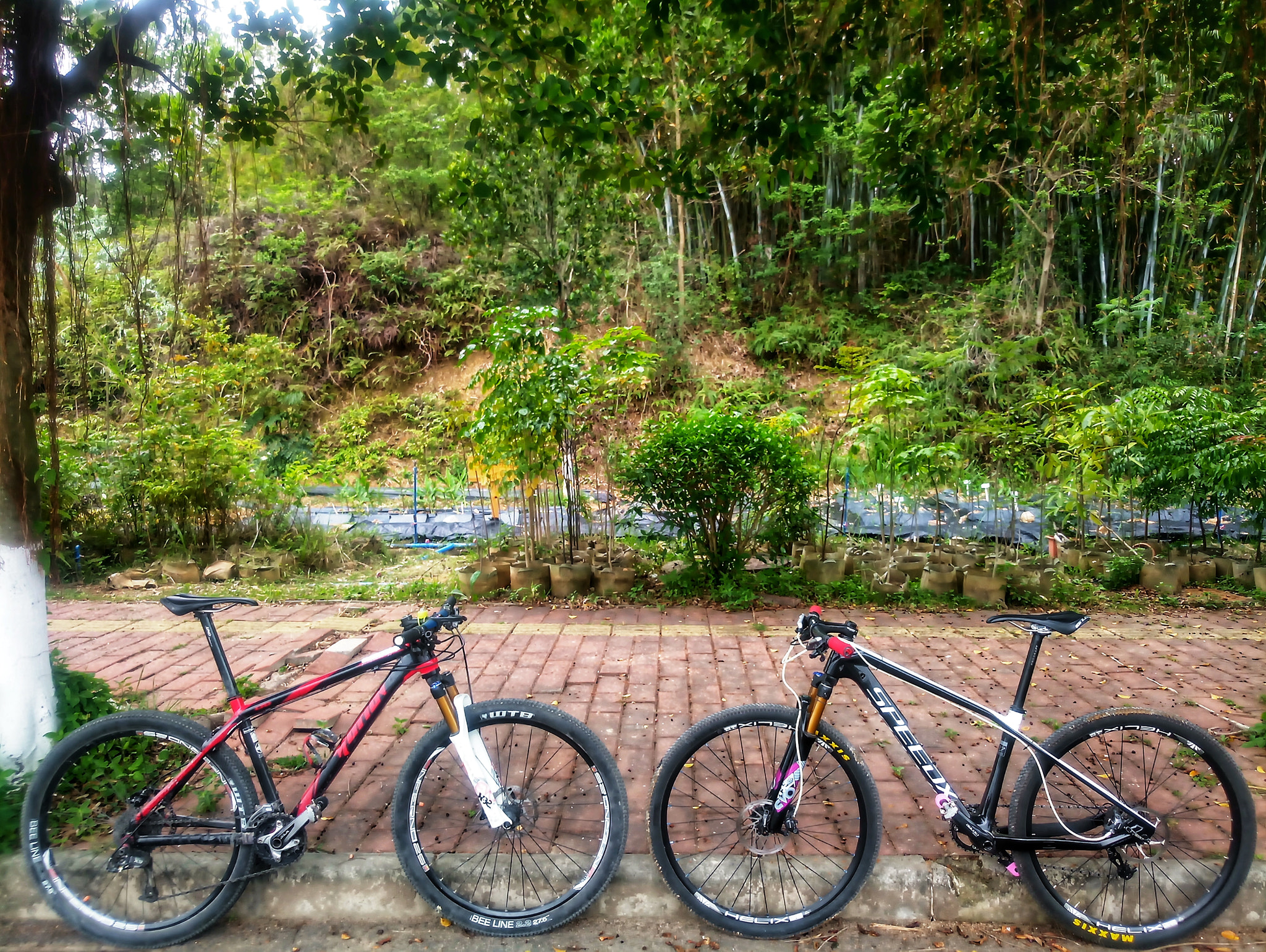 Meizu MX6 sample photo