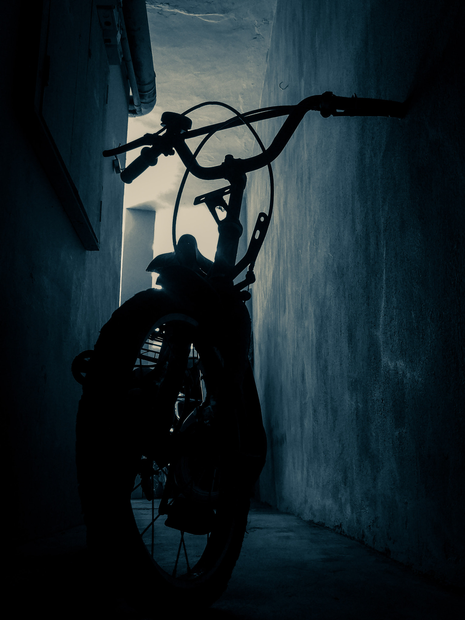 LG H818N sample photo. Bicycle photography