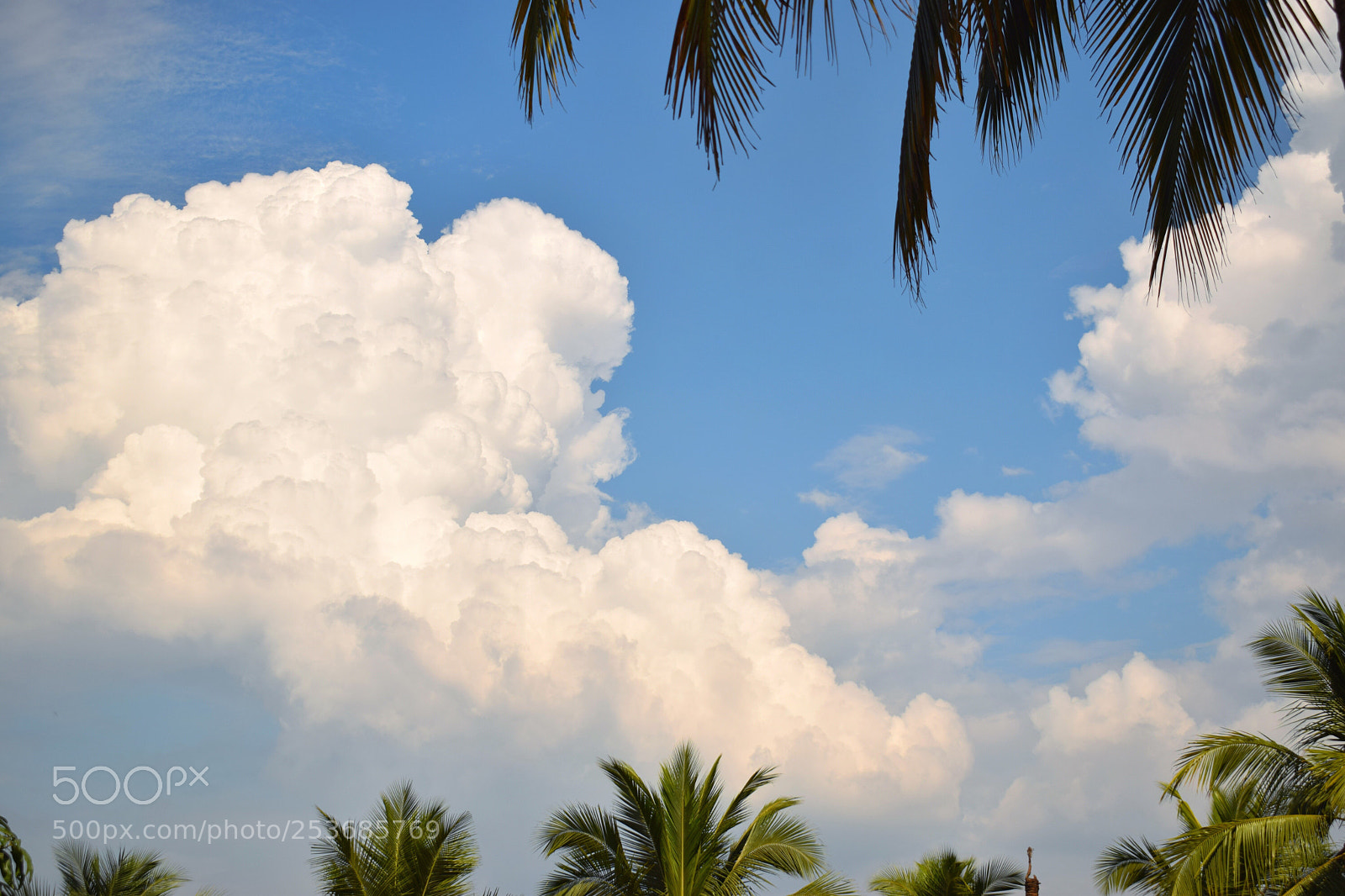 Nikon D3300 sample photo. Sky photography