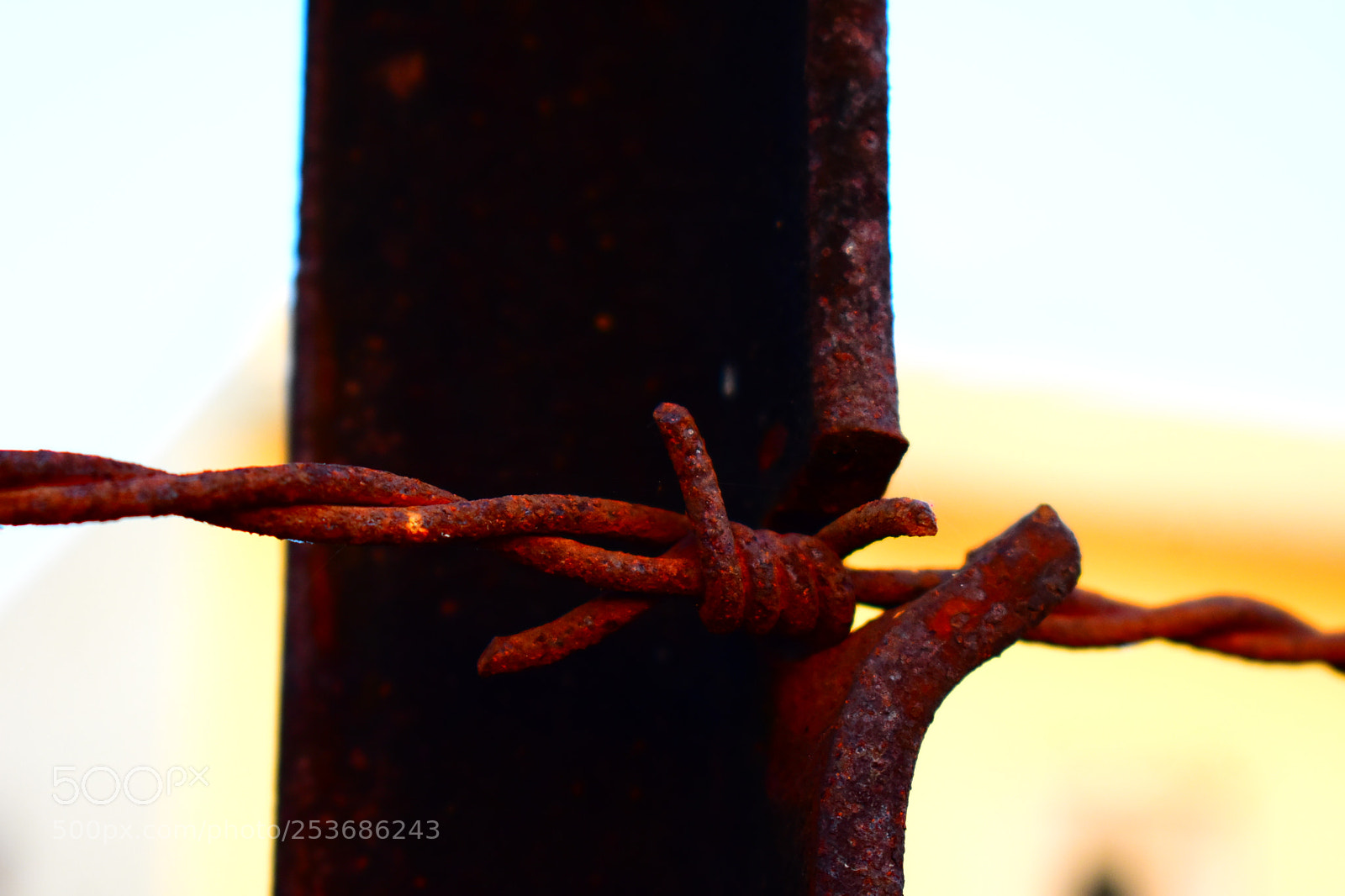 Nikon D3400 sample photo. Untitled photography