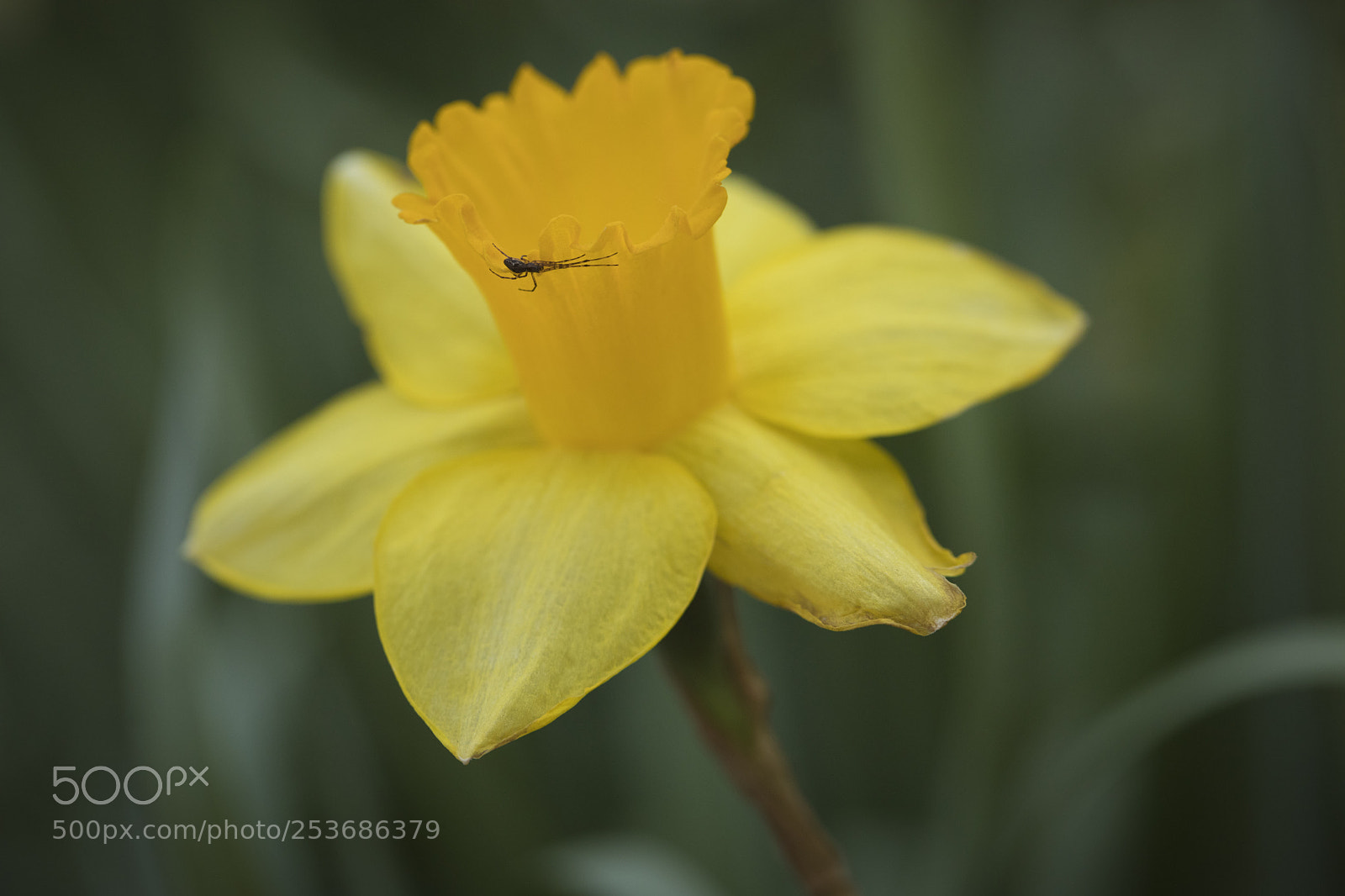 Canon EOS 5D Mark IV sample photo. Visitor photography