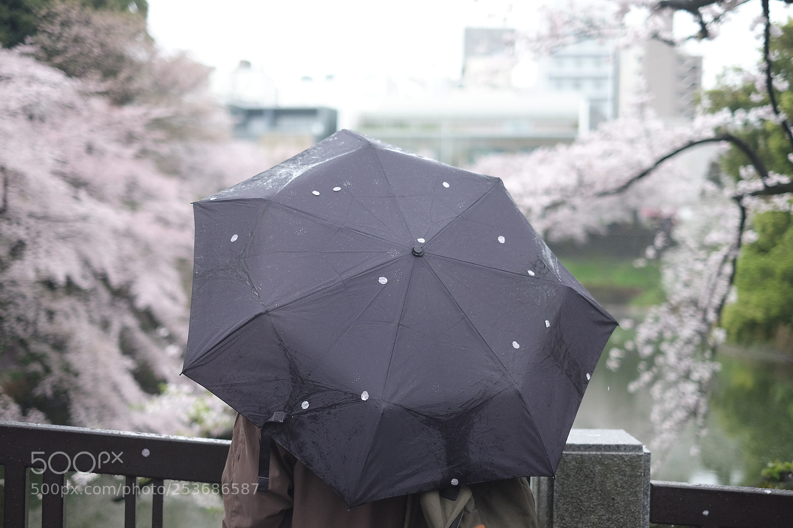 Fujifilm X-T1 sample photo. Dscf photography