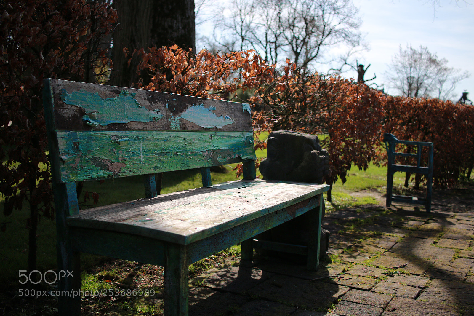 Canon EOS 70D sample photo. Pairi daiza photography