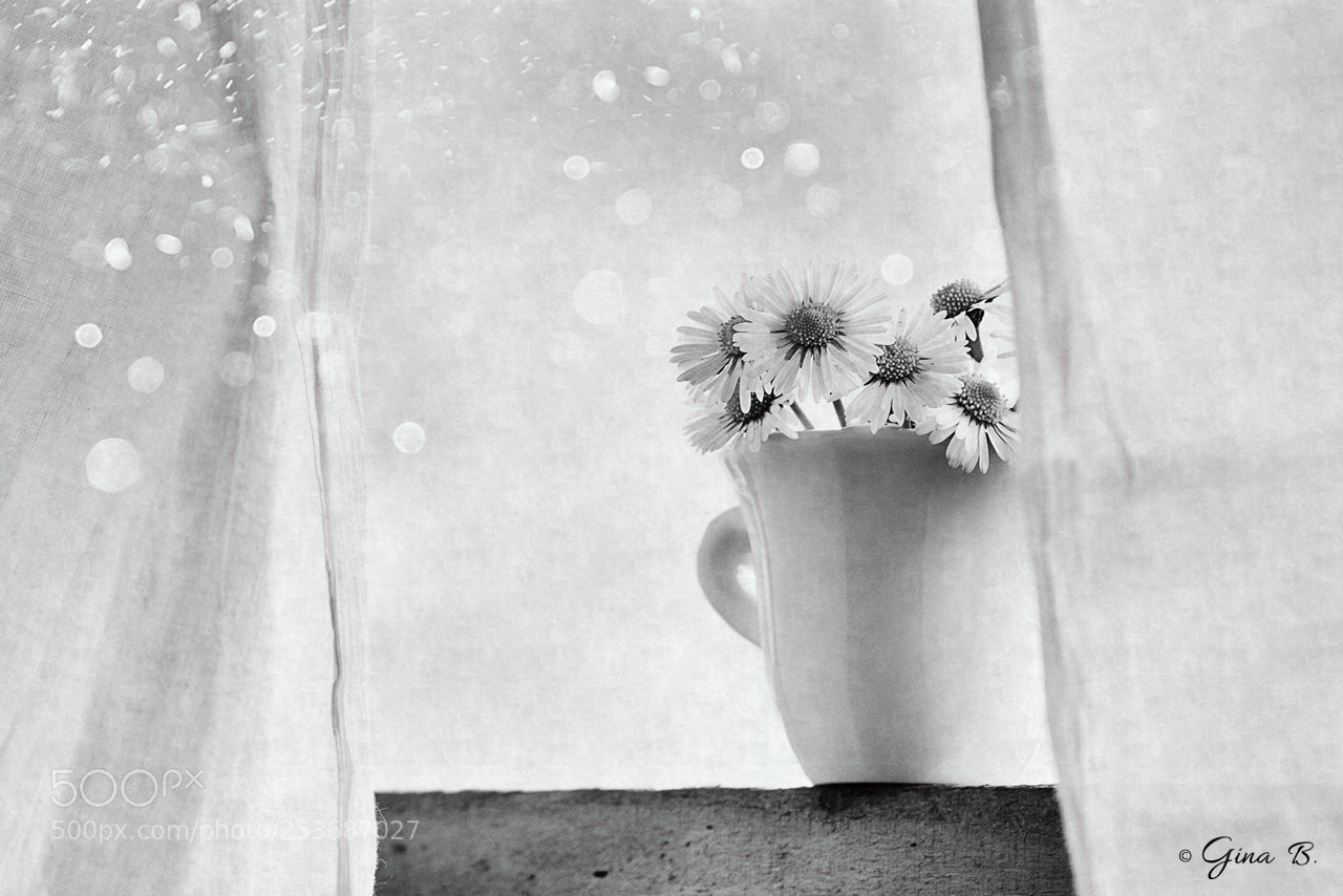 Nikon D300 sample photo. Spring breeze photography