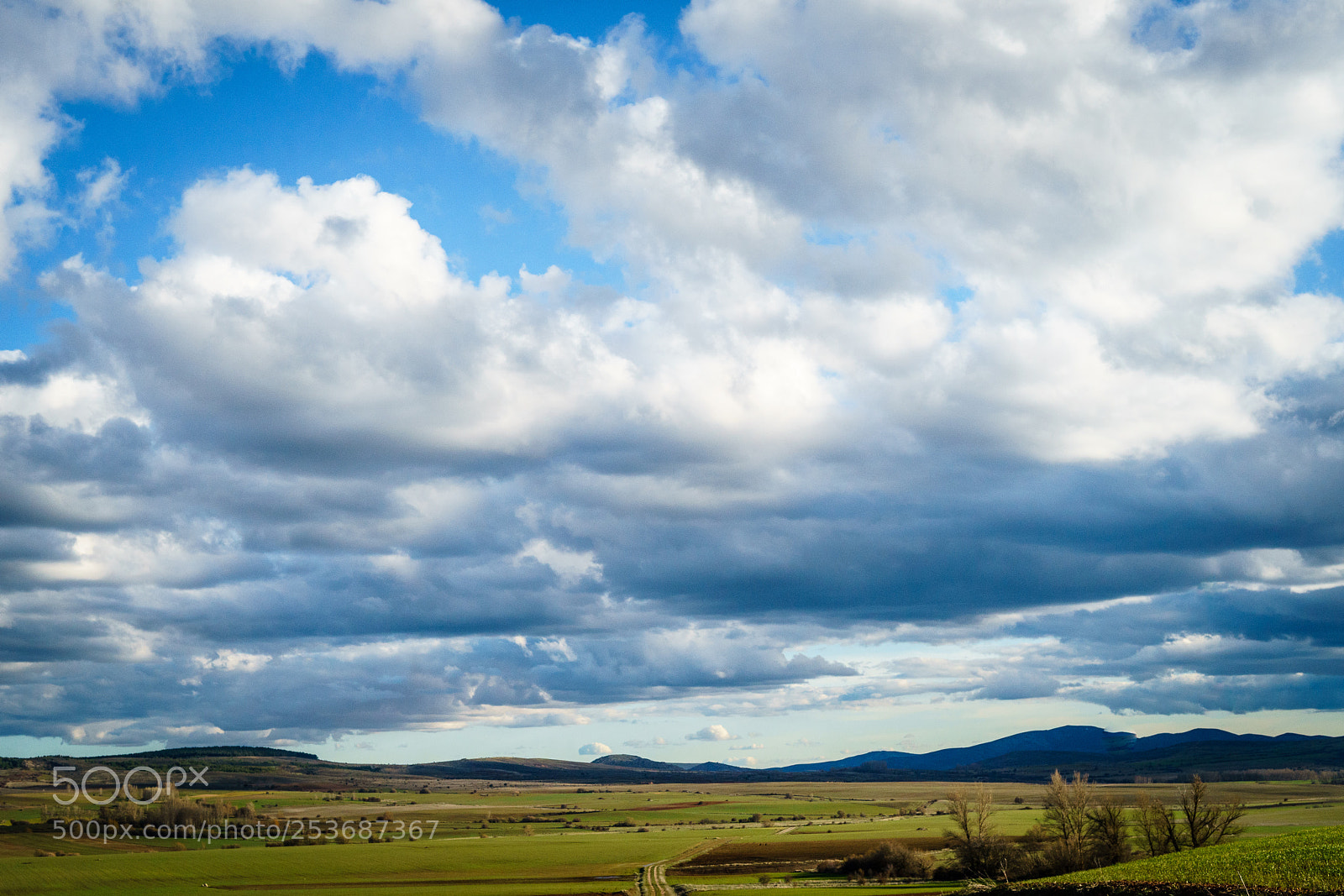 Sony a7 II sample photo. Campos de guadalajara photography