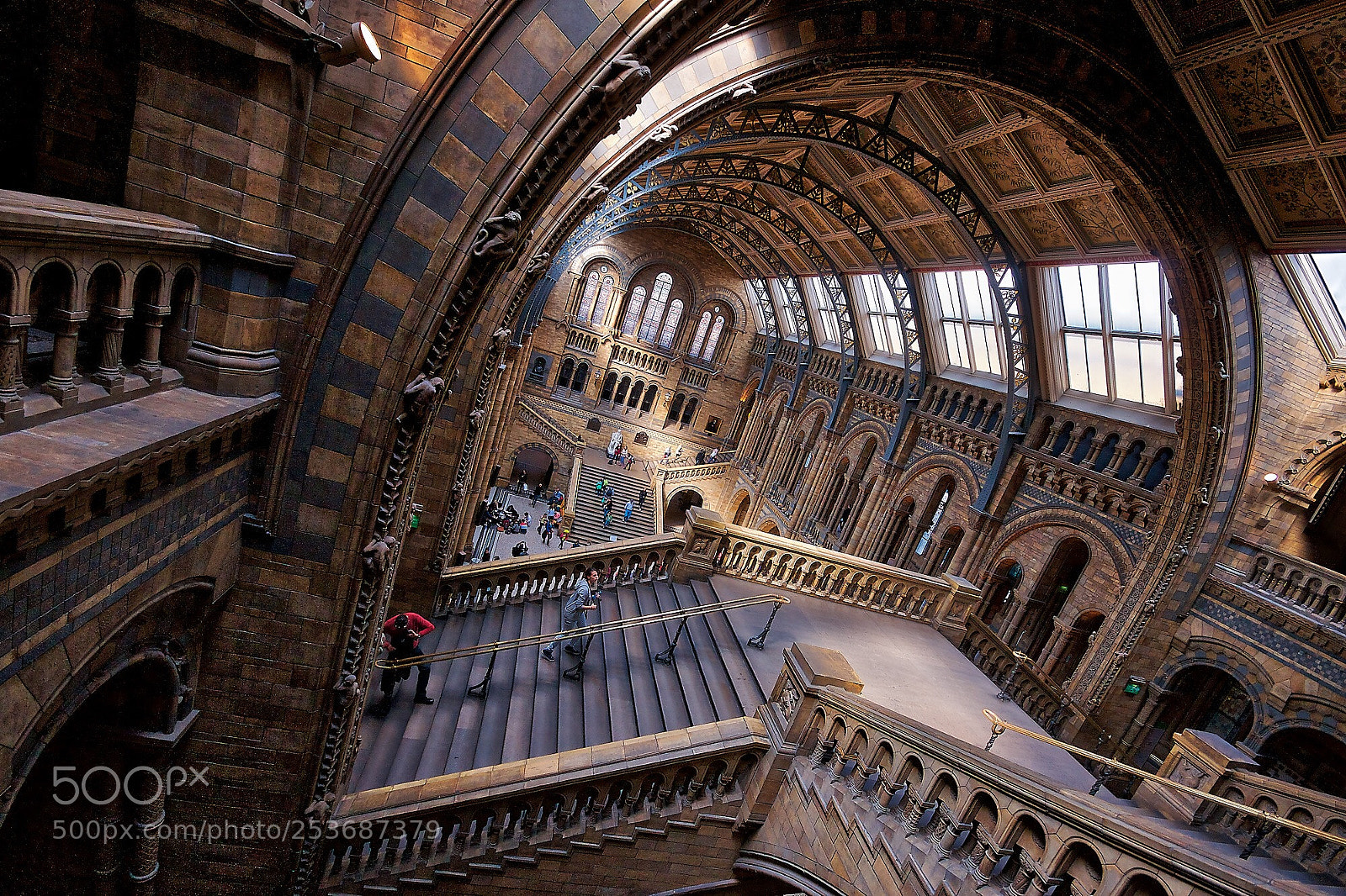 Sony Alpha DSLR-A700 sample photo. Natural history museum london  photography