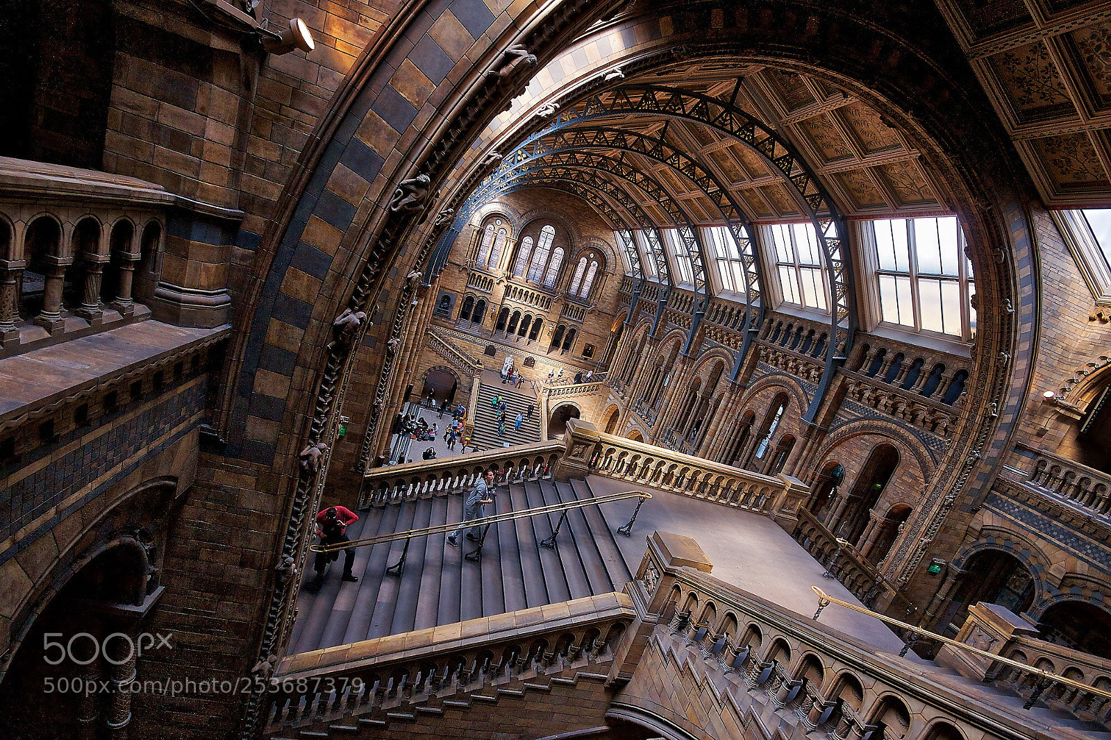 Sony Alpha DSLR-A700 sample photo. Natural history museum london  photography