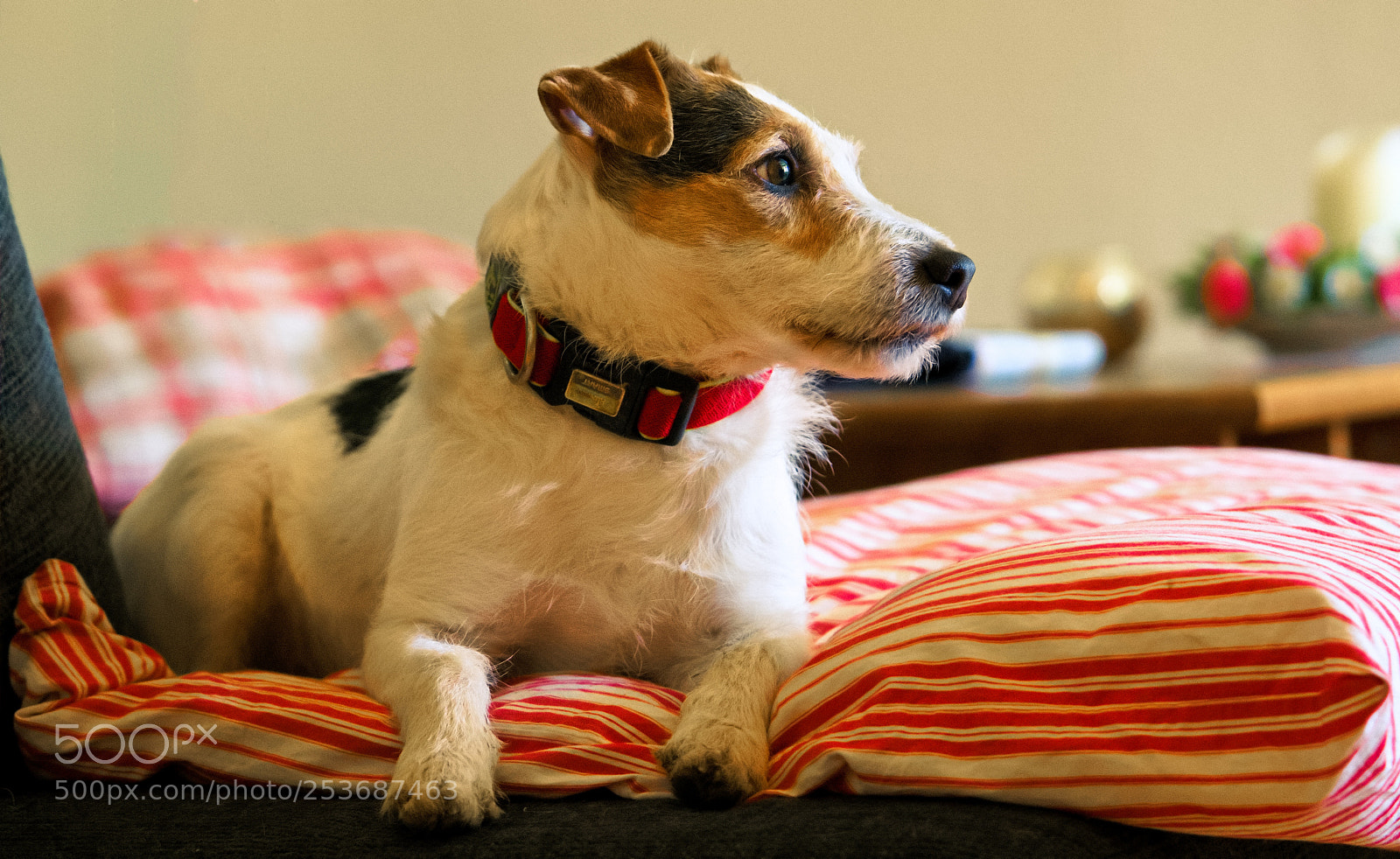 Sony a6000 sample photo. Lazy sunday afternoon photography