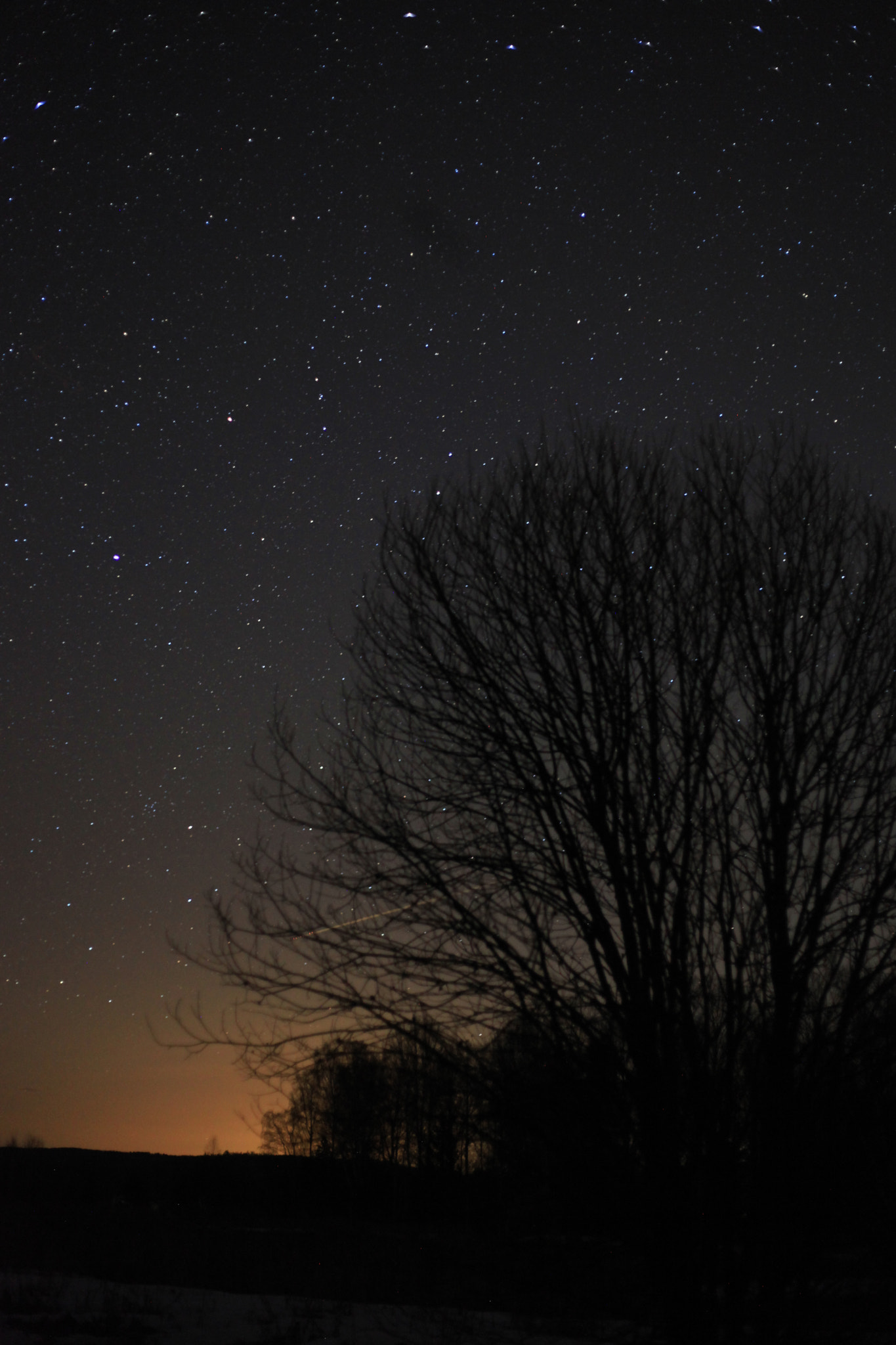 Canon EF 50mm F1.8 II sample photo. Tree, stars and town light photography