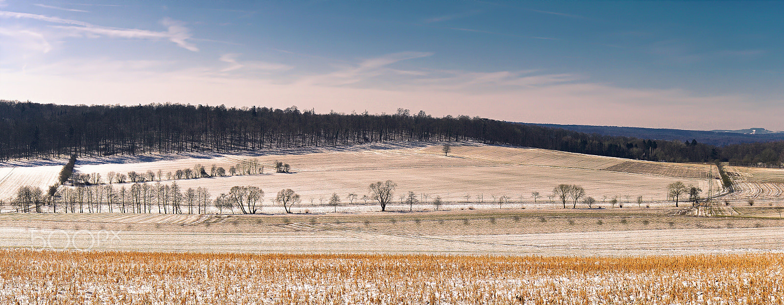 Sony a6000 sample photo. Winterscene photography