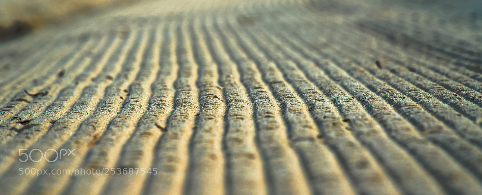 Sony a6000 sample photo. On the beach photography