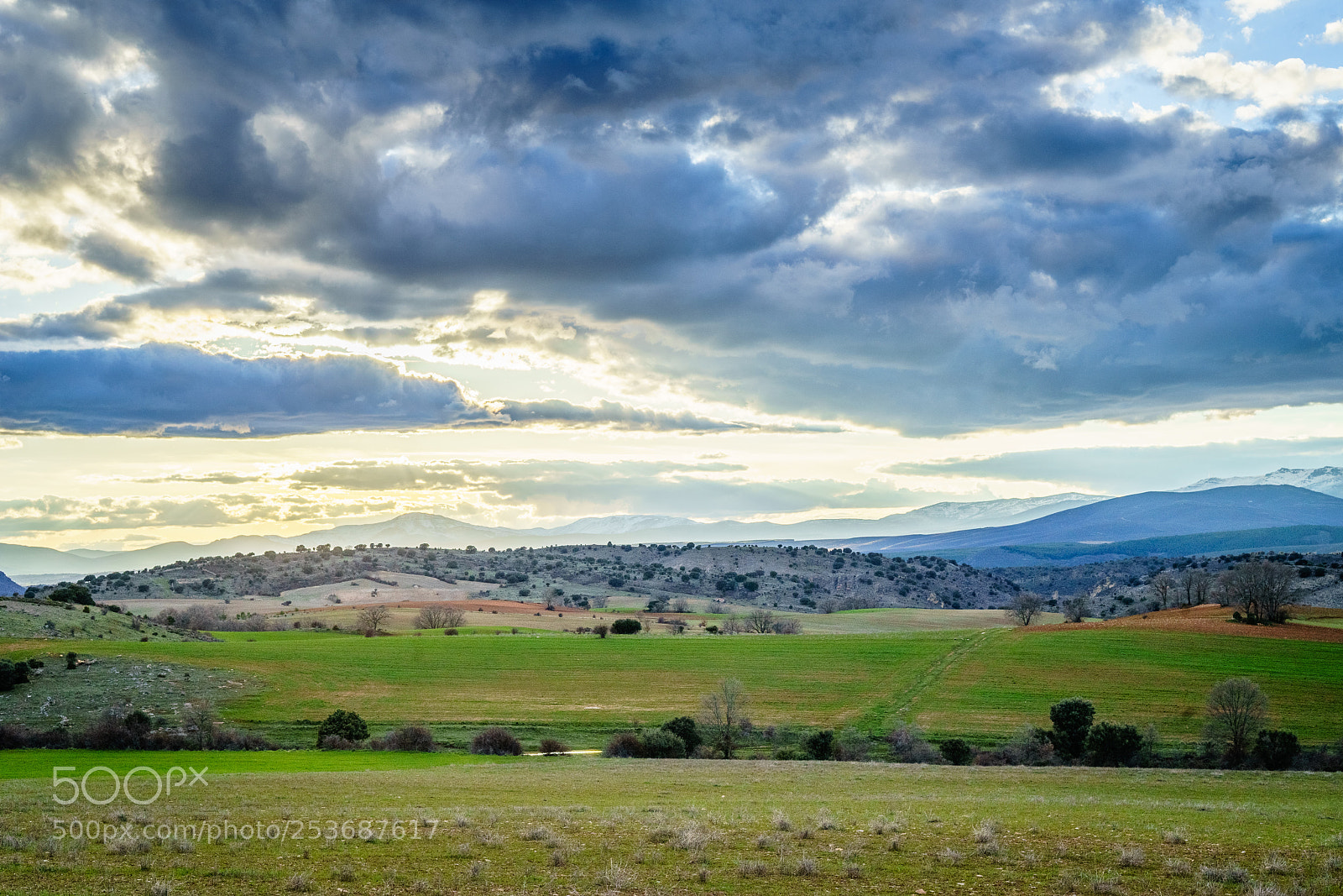 Sony a7 II sample photo. Campos de guadalajara ii photography