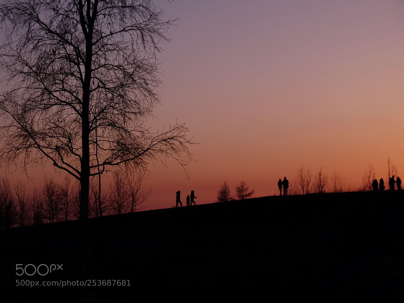 Fujifilm X-T1 sample photo. Sunset photography