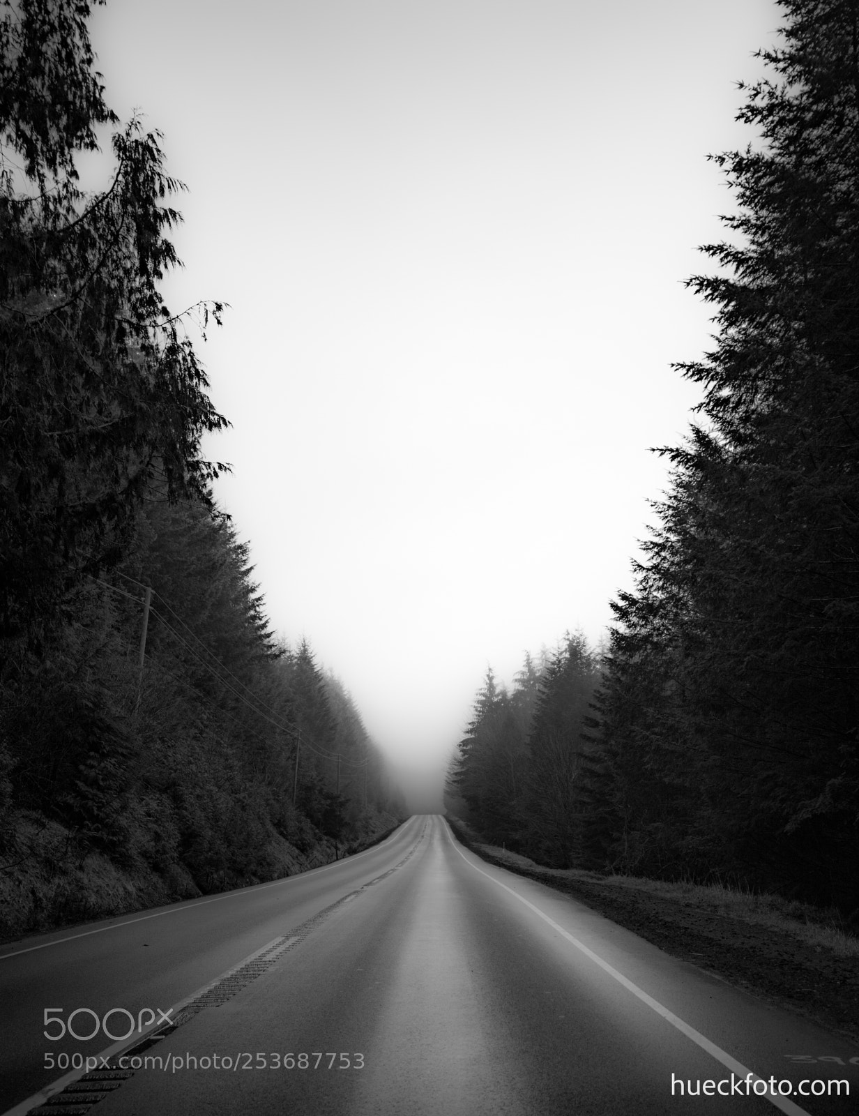 Canon EOS 5D Mark IV sample photo. Mt rainier photography