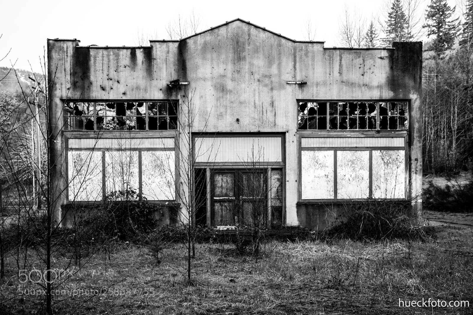 Canon EOS 5D Mark IV sample photo. Mt rainier photography