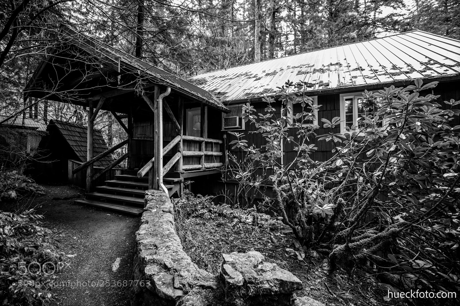 Canon EOS 5D Mark IV sample photo. Mt rainier photography