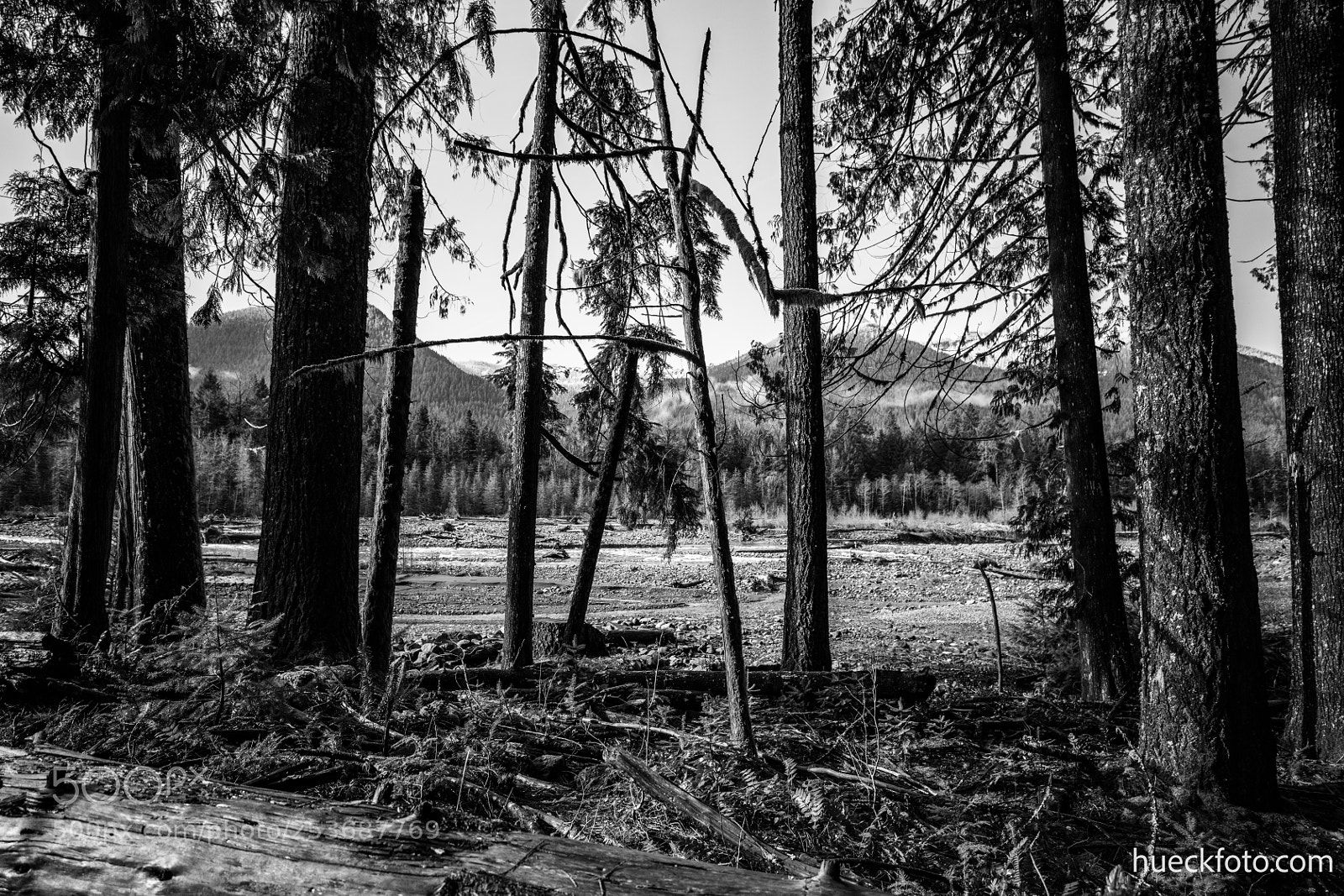 Canon EOS 5D Mark IV sample photo. Mt rainier photography