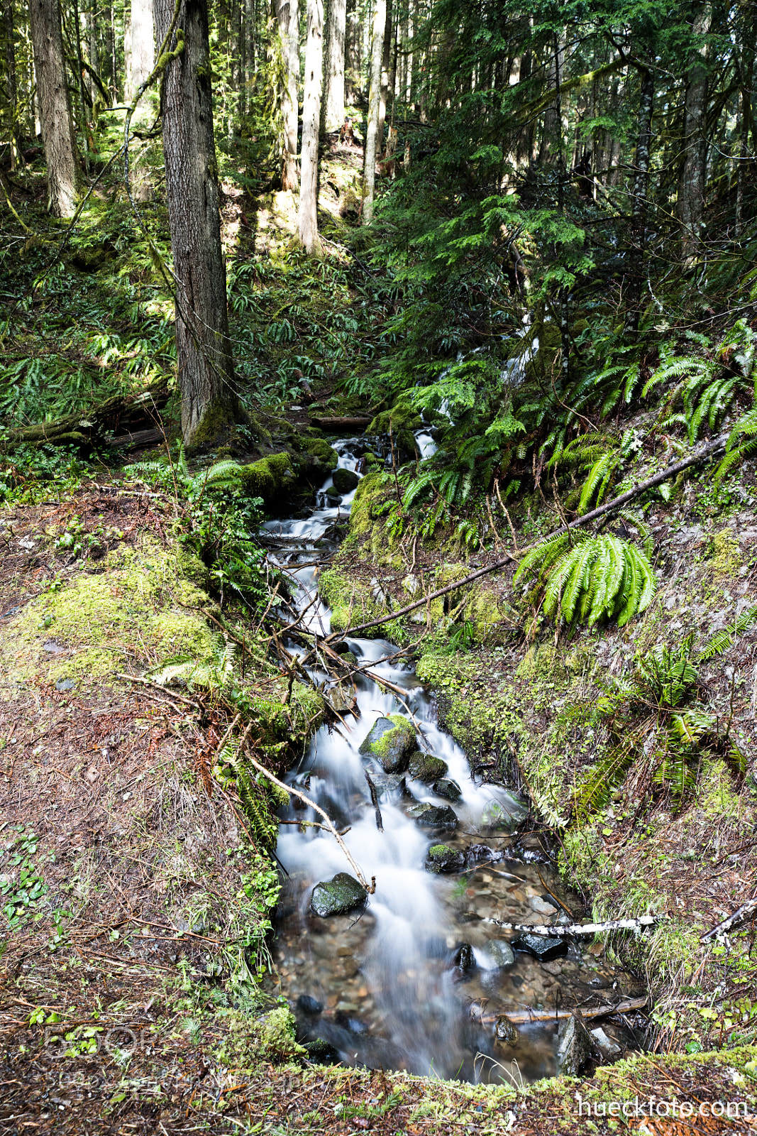 Canon EOS 5D Mark IV sample photo. Mt rainier photography