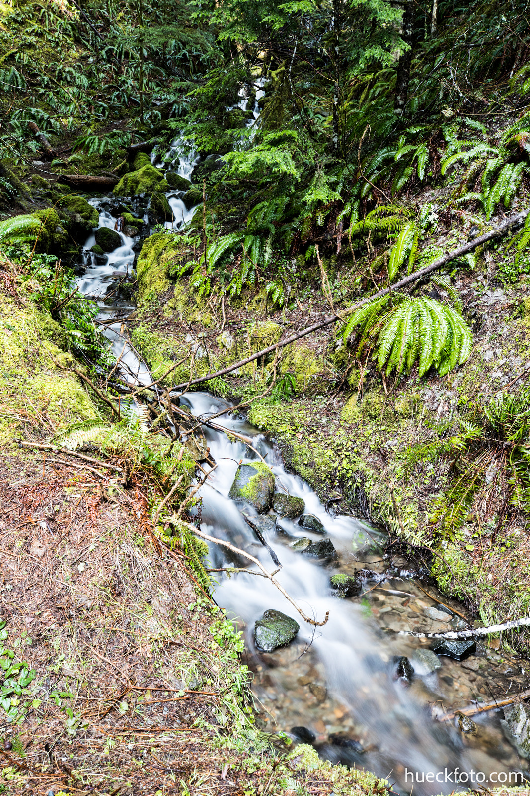 Canon EOS 5D Mark IV sample photo. Mt rainier photography