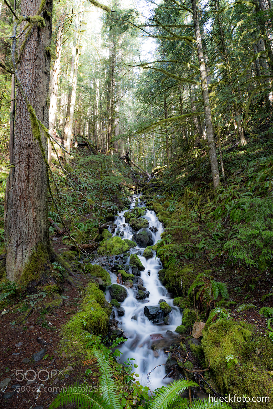 Canon EOS 5D Mark IV sample photo. Mt rainier photography
