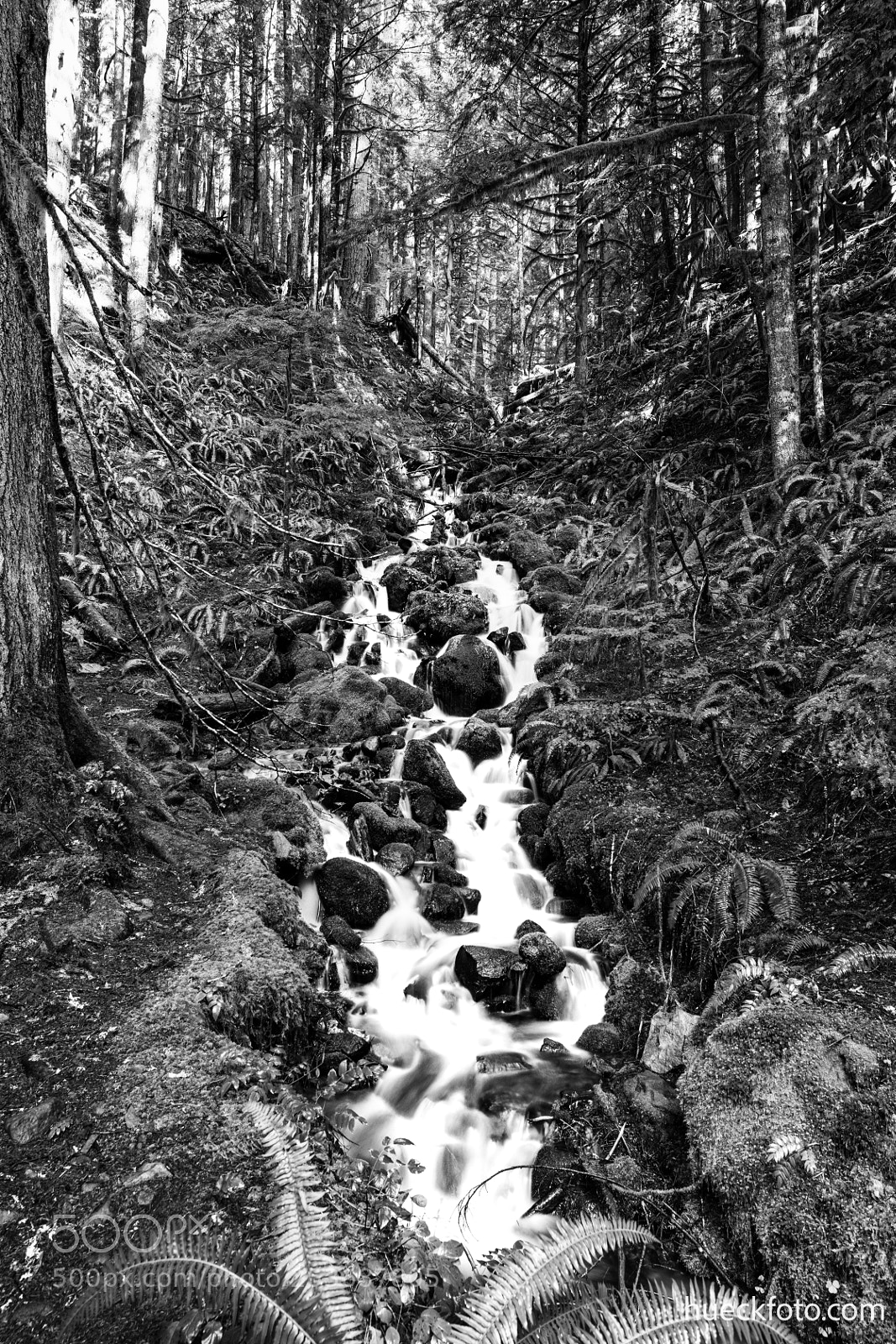 Canon EOS 5D Mark IV sample photo. Mt rainier photography