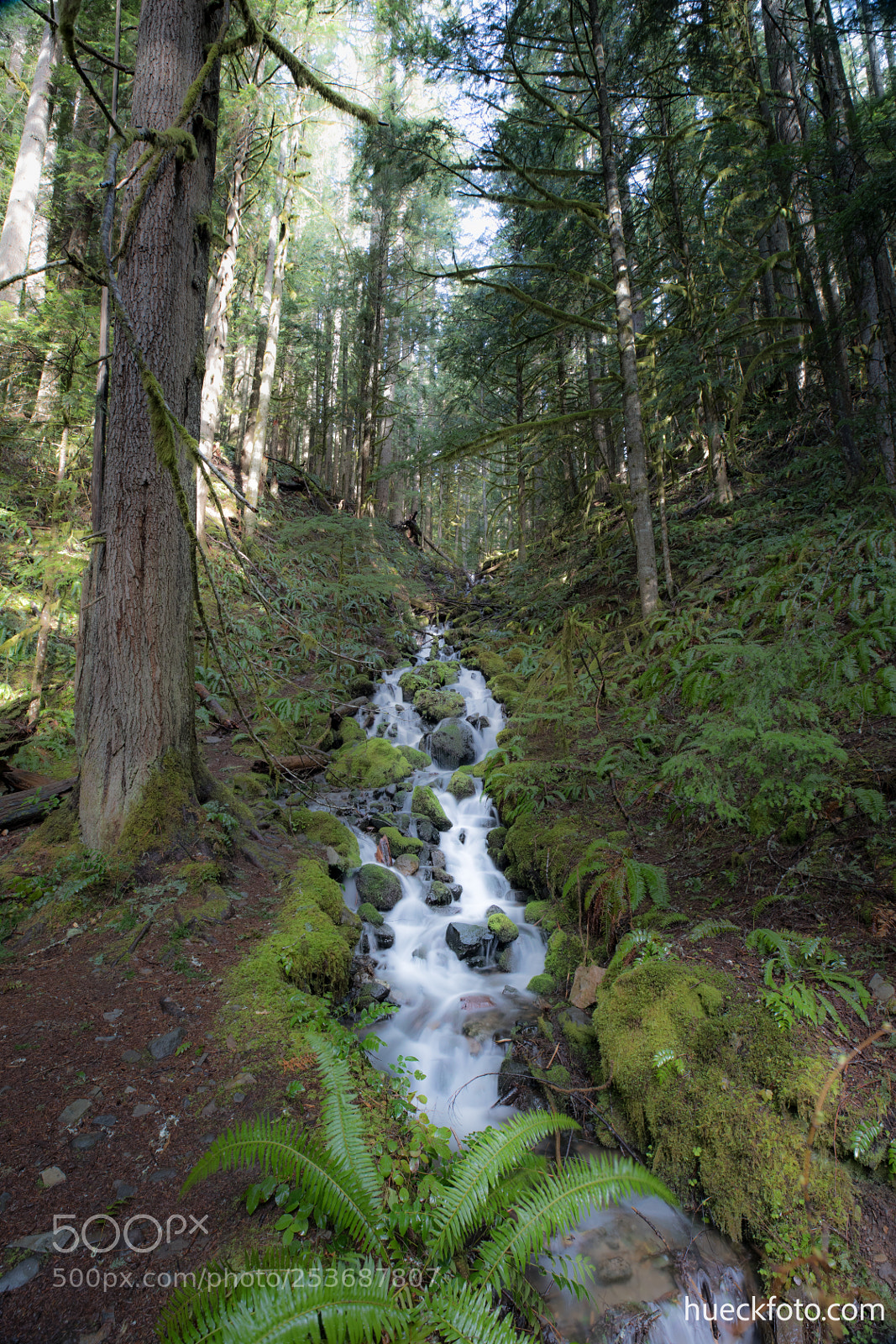 Canon EOS 5D Mark IV sample photo. Mt rainier photography