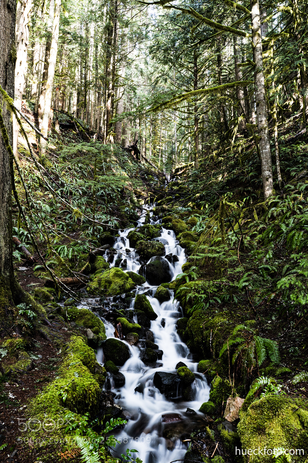 Canon EOS 5D Mark IV sample photo. Mt rainier photography