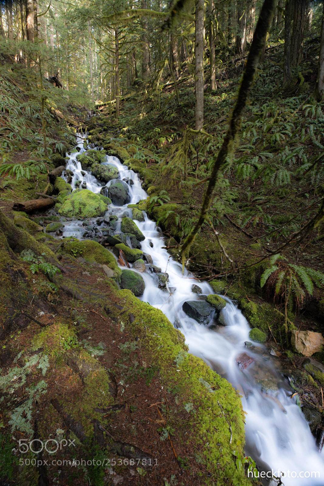Canon EOS 5D Mark IV sample photo. Mt rainier photography