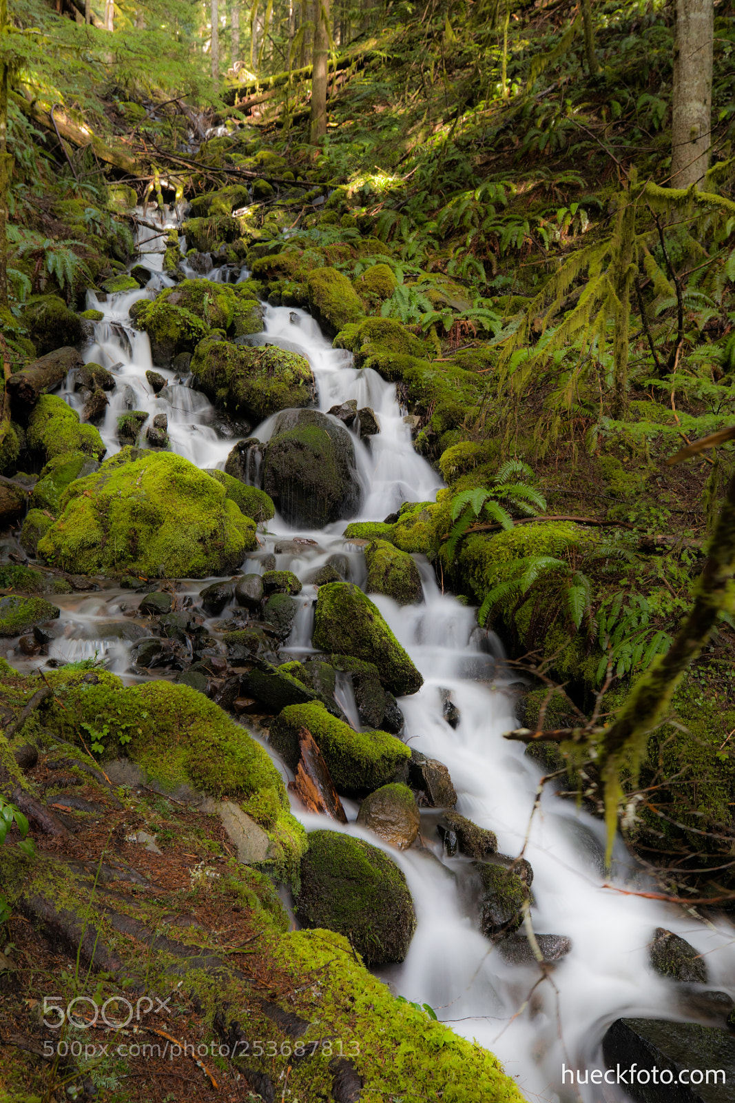 Canon EOS 5D Mark IV sample photo. Mt rainier photography