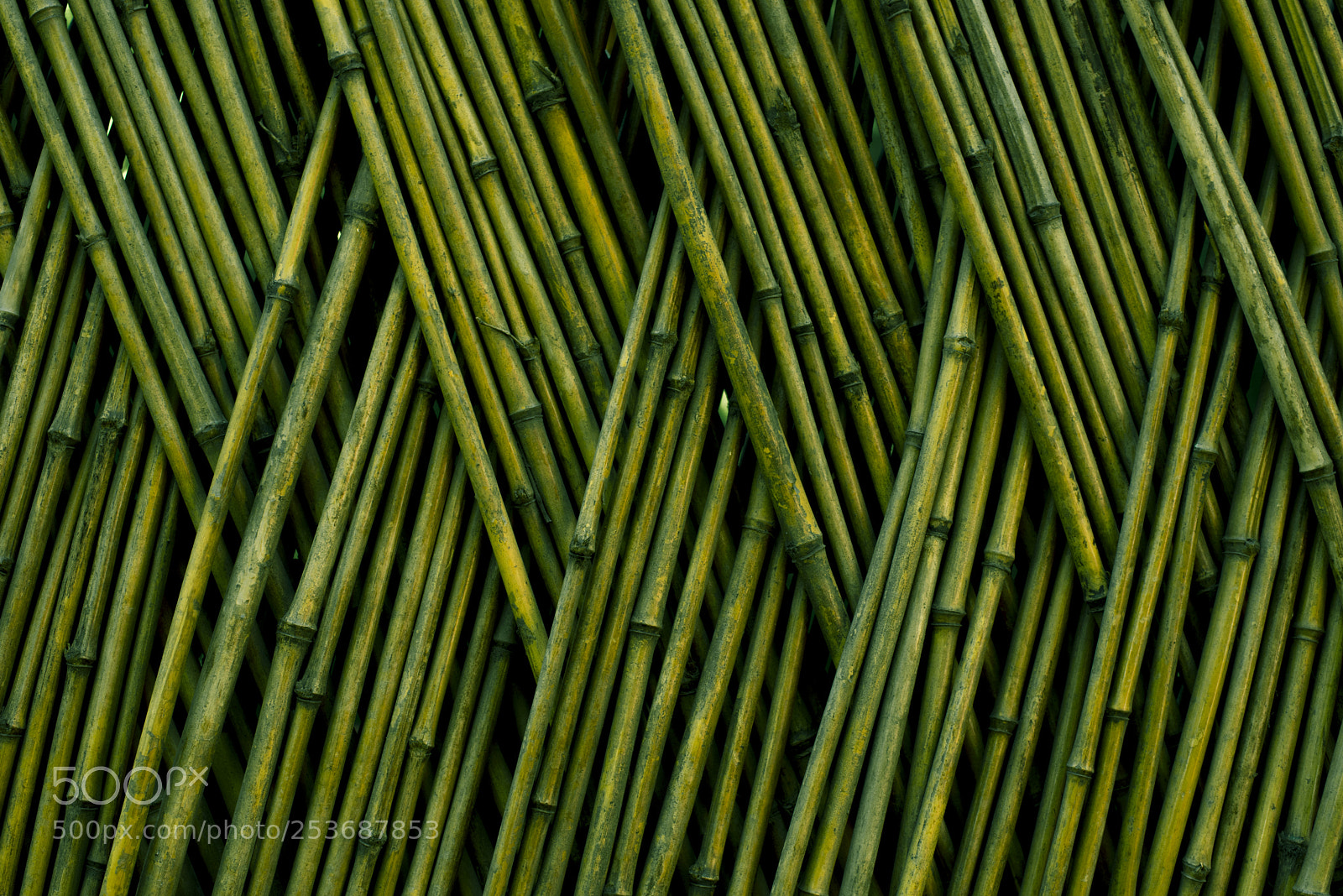 Nikon D750 sample photo. Woven bamboo photography