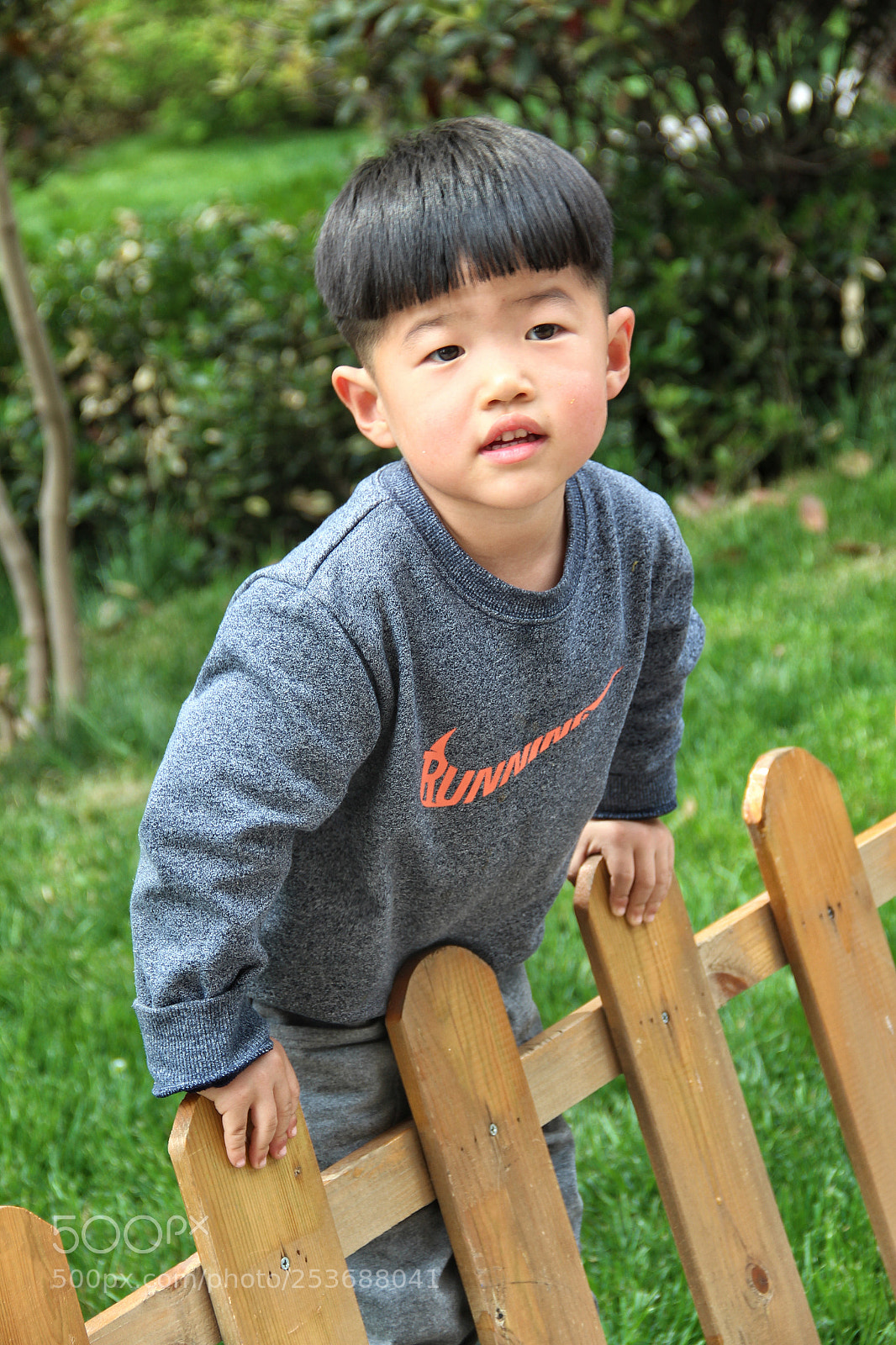 Canon EOS 600D (Rebel EOS T3i / EOS Kiss X5) sample photo. Untitled photography