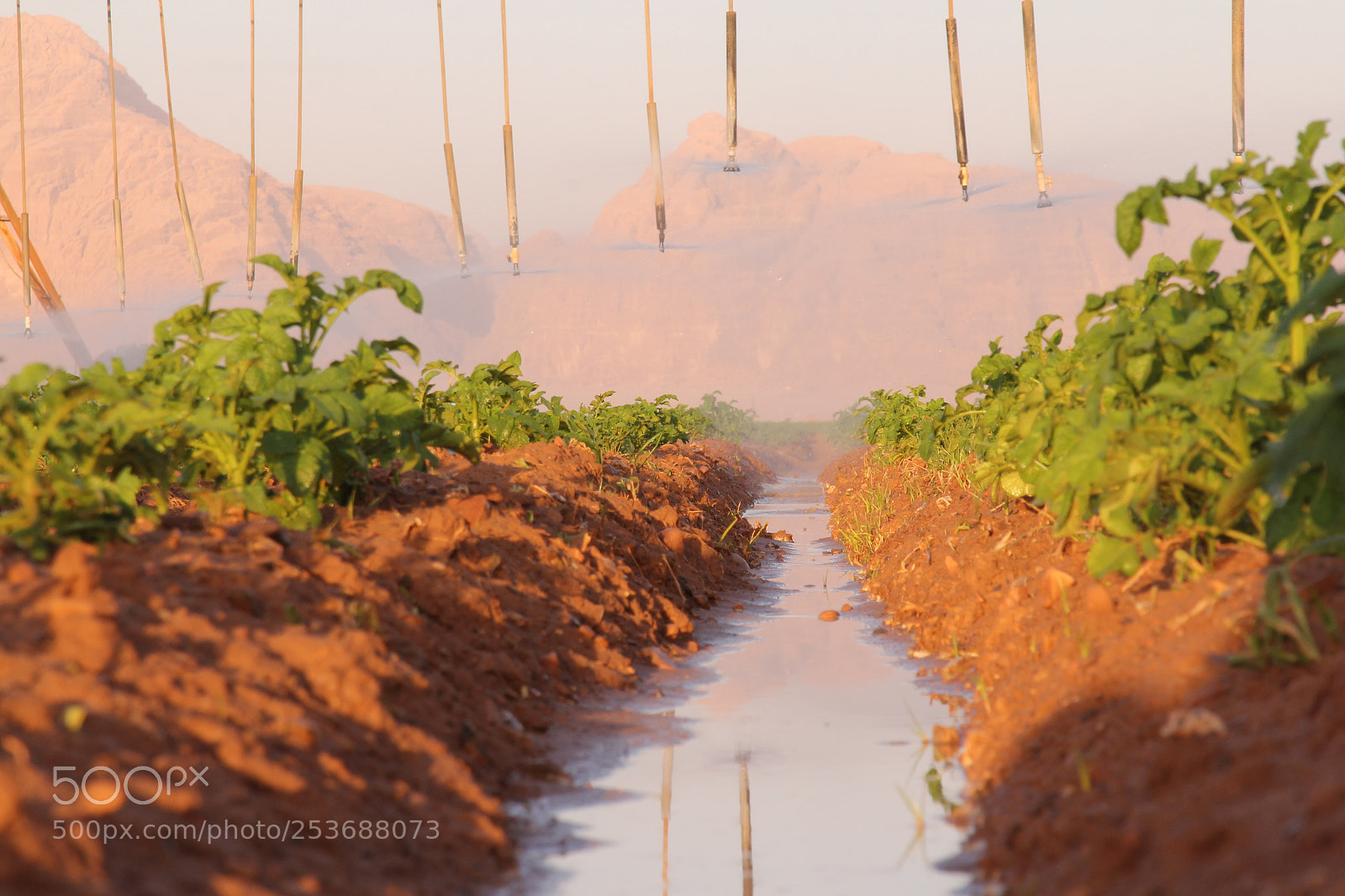 Canon EOS 60D + Canon EF 24-105mm F4L IS USM sample photo. Untitled photography