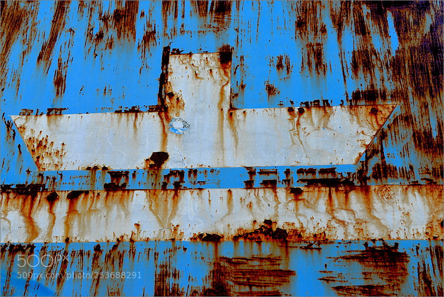 Nikon D610 sample photo. White ship photography